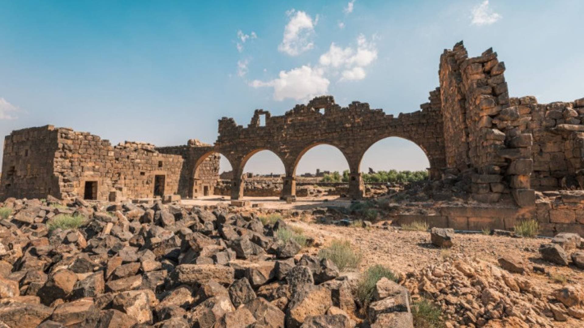 وزير السياحة يكشف أهمية إدراج موقع أم الجمال على لائحة التراث العالمي - فيديو