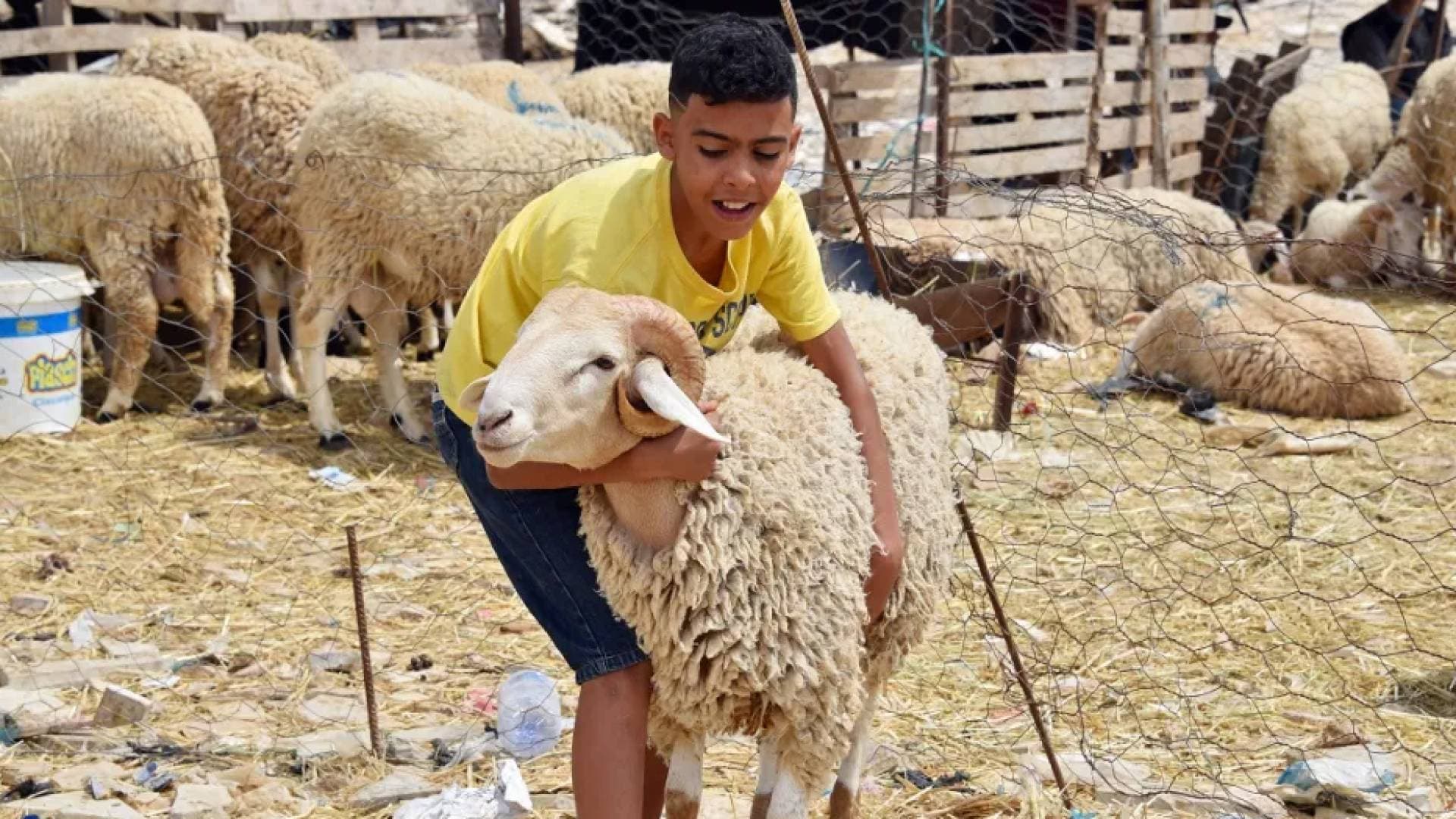 موعد تحري هلال شهر ذي الحجة وتوقعات عيد الأضحى والعطلة في الأردن