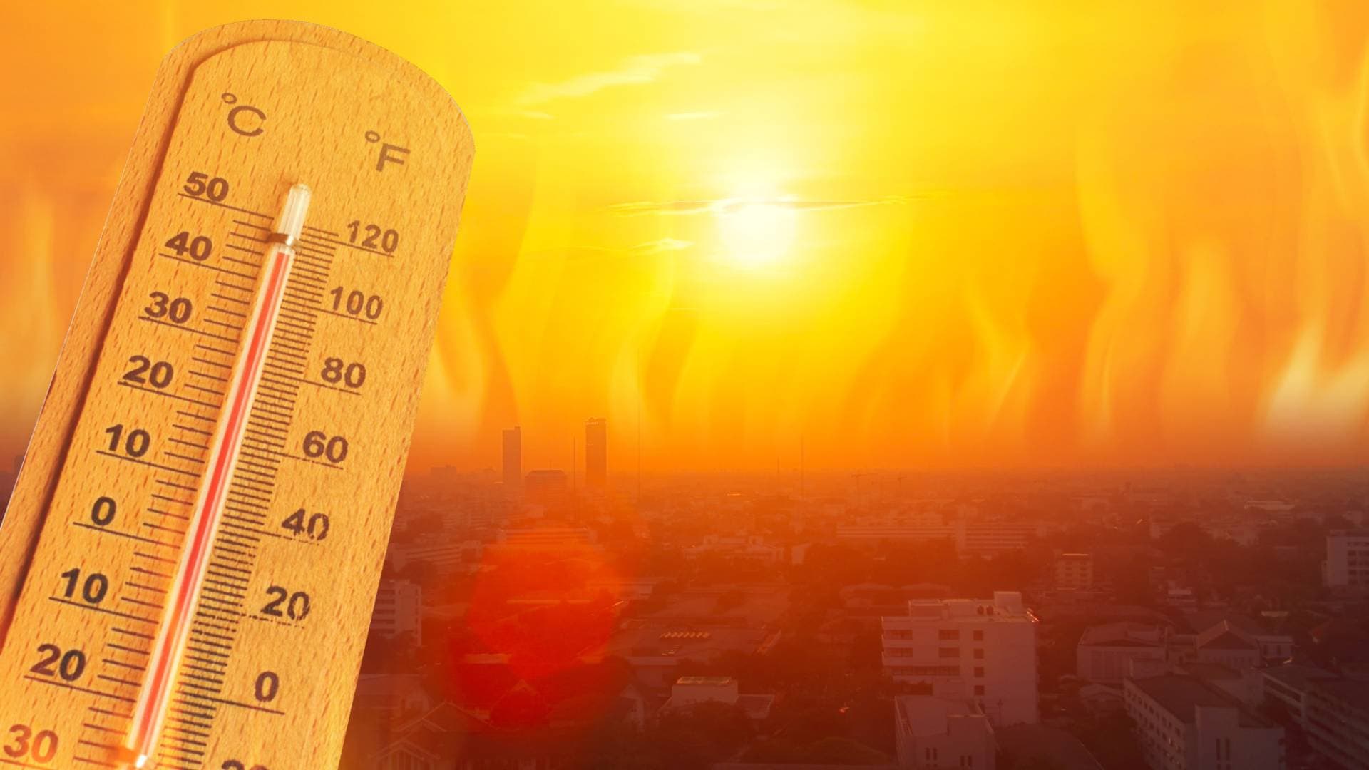 طقس العرب: عمان ضمن أعلى 10 مناطق حرارة في الأردن الجمعة والأزرق تتصدر القائمة