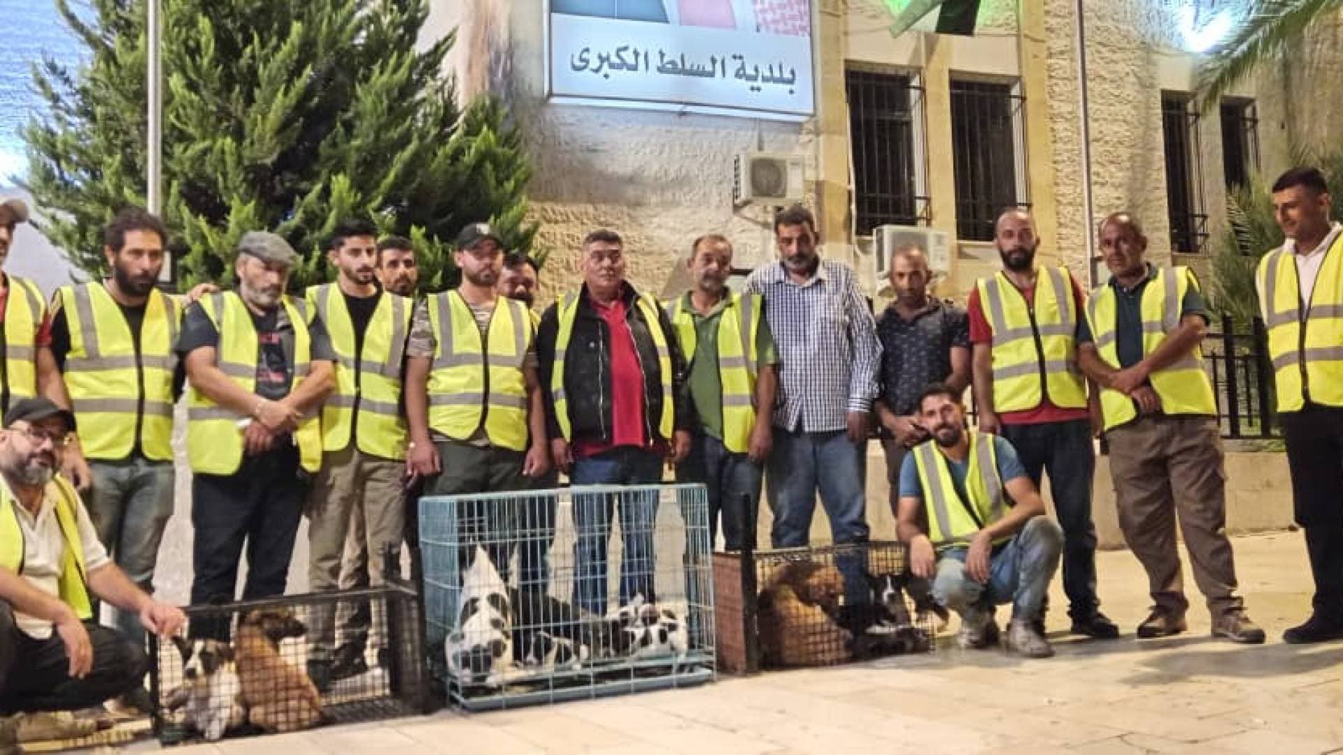 السلط تطلق حملة غير مسبوقة لجمع الكلاب الضالة: "سلامة المواطن أولوية.. ولن ننتظر وقوع مكروه"
