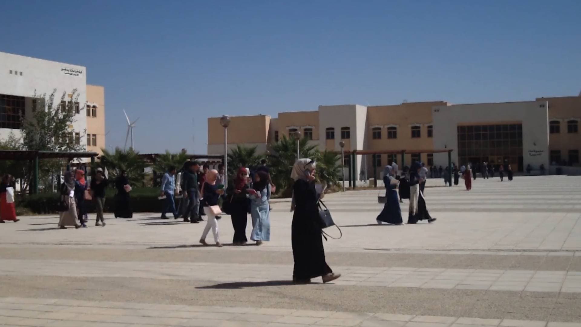 أكاديميون: سوق العمل مشبع وتخصصات راكدة... ومصير الأبحاث في أدراج الجامعات.. فيديو