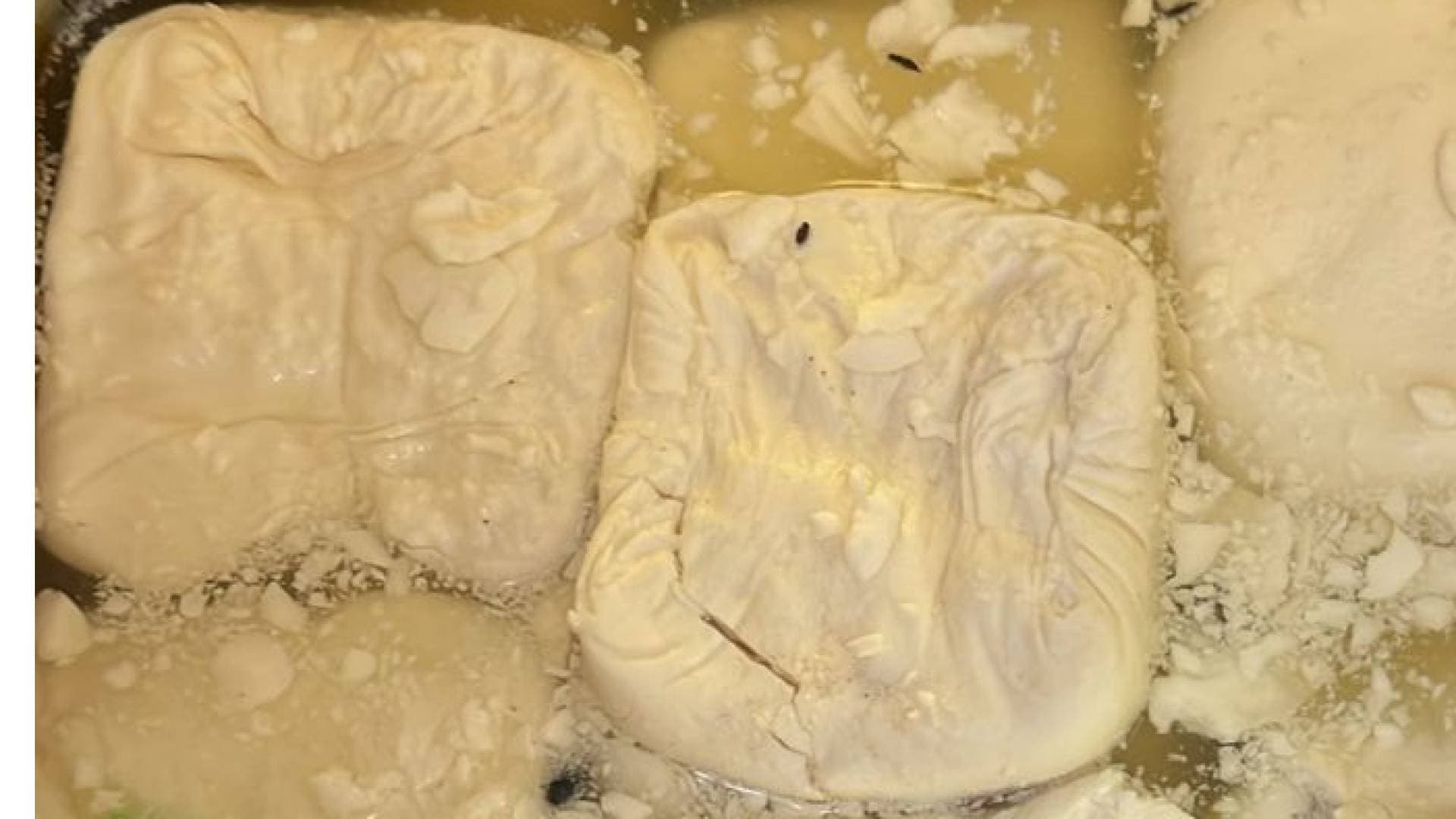"الغذاء والدواء" تتلف 5 أطنان من الأجبان الفاسدة في عمان