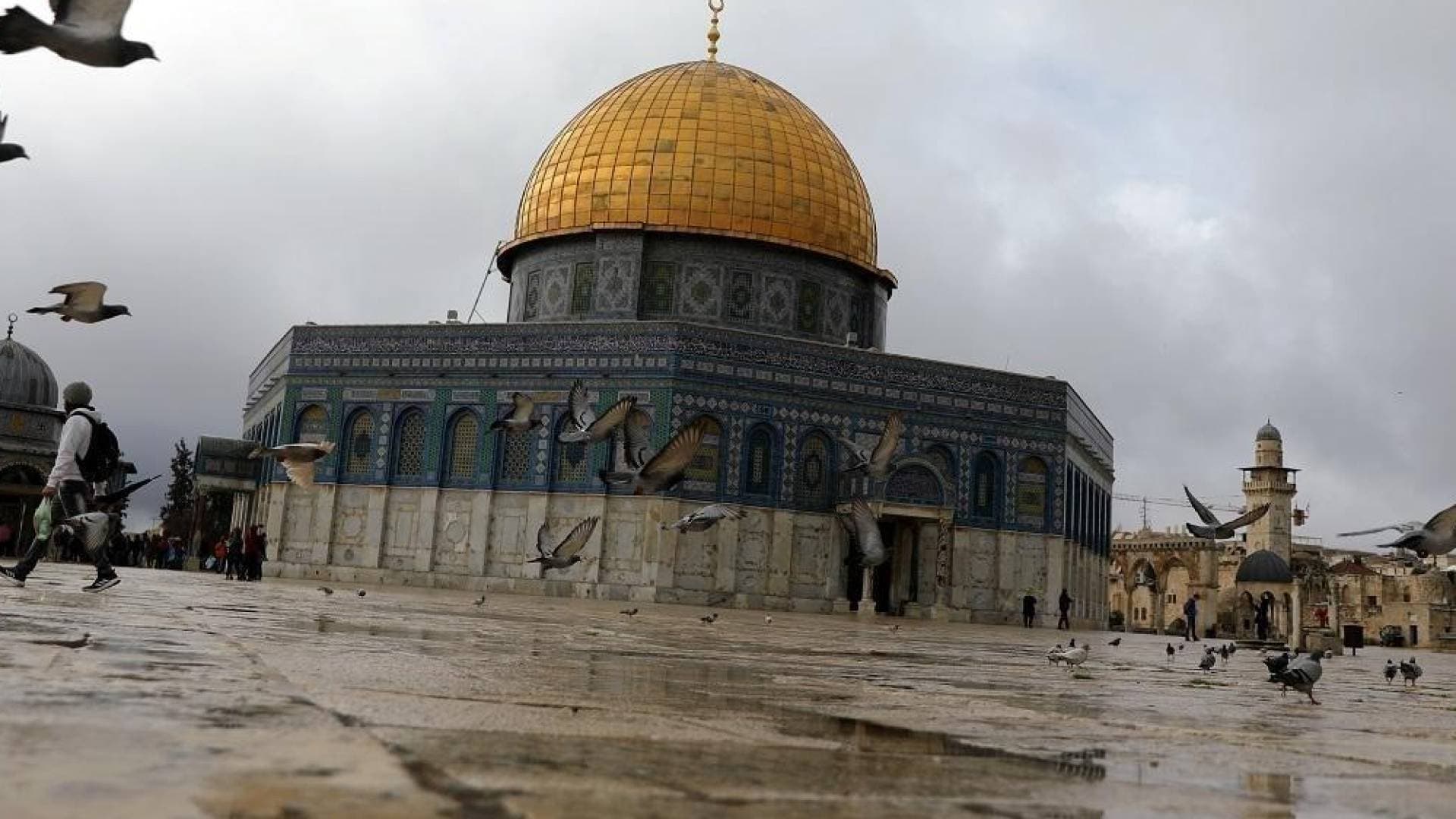 محافظة القدس: جماعات "الهيكل" بدأت استعدادات عملية لبناء المعبد على أنقاض الأقصى