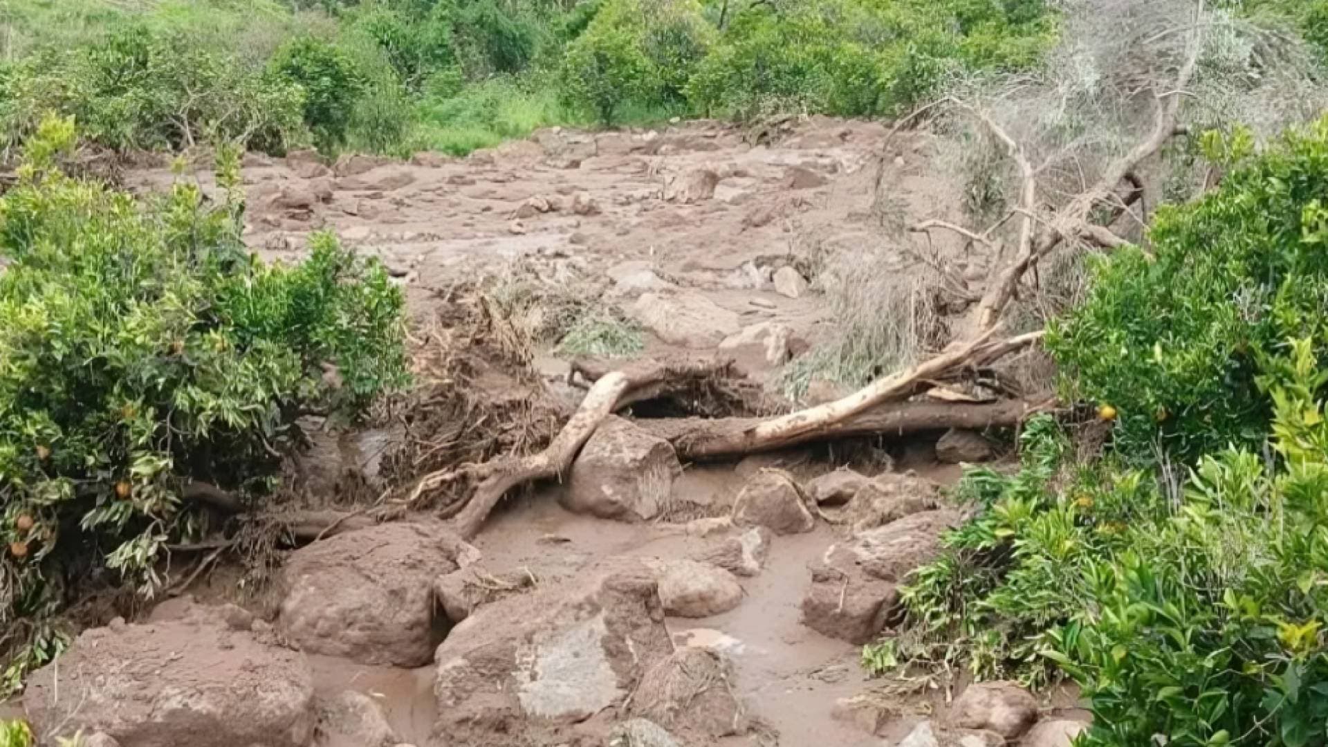 مأساة في تاهيتي الفرنسية انزلاق تربة يودي بحياة 8 أشخاص ويهدد رجال الإنقاذ