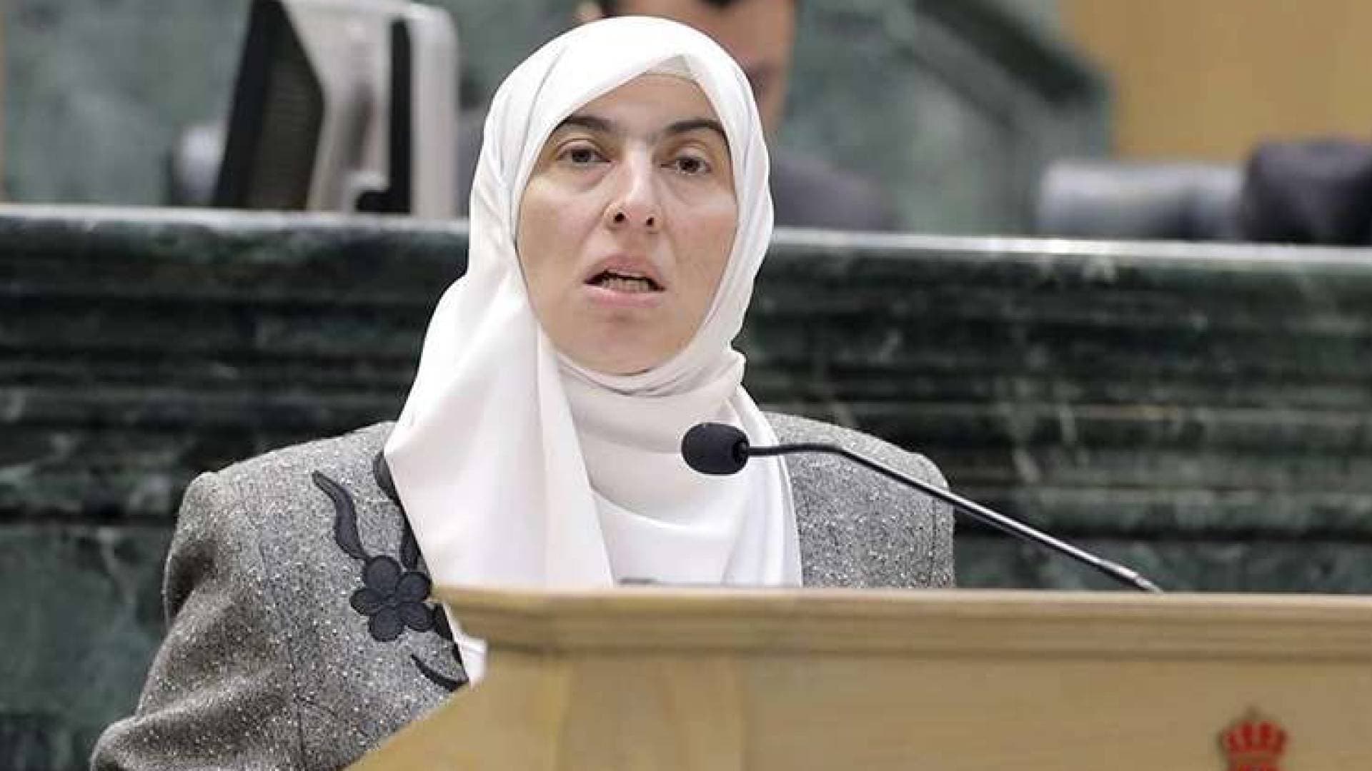 النائب ديمة طهبوب تطالب بـ "حذر مبالغ فيه" عند تعديل المعاملات الإلكترونية -فيديو