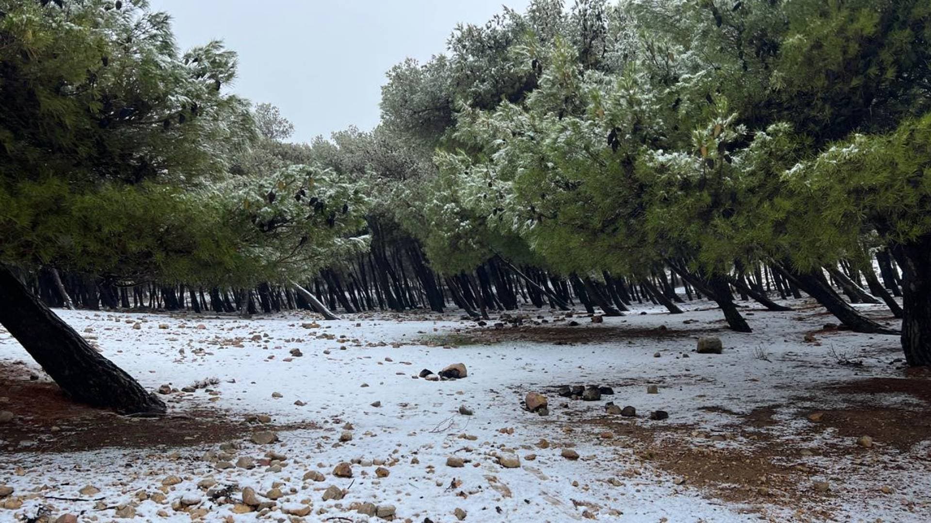 الأردن على موعد مع "منخفض جوي" الجمعة.. هل تتساقط الثلوج؟ وتحذيرات من السيول