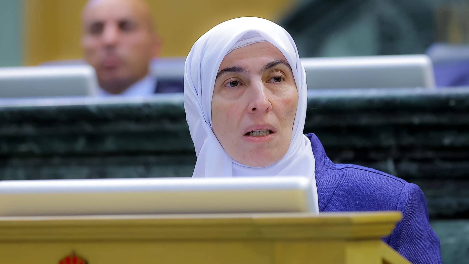 النائبة طهبوب: قانون الغاز لسنة 2025 تشريع سيادي مرتبط بأمن الطاقة الوطني..فيديو