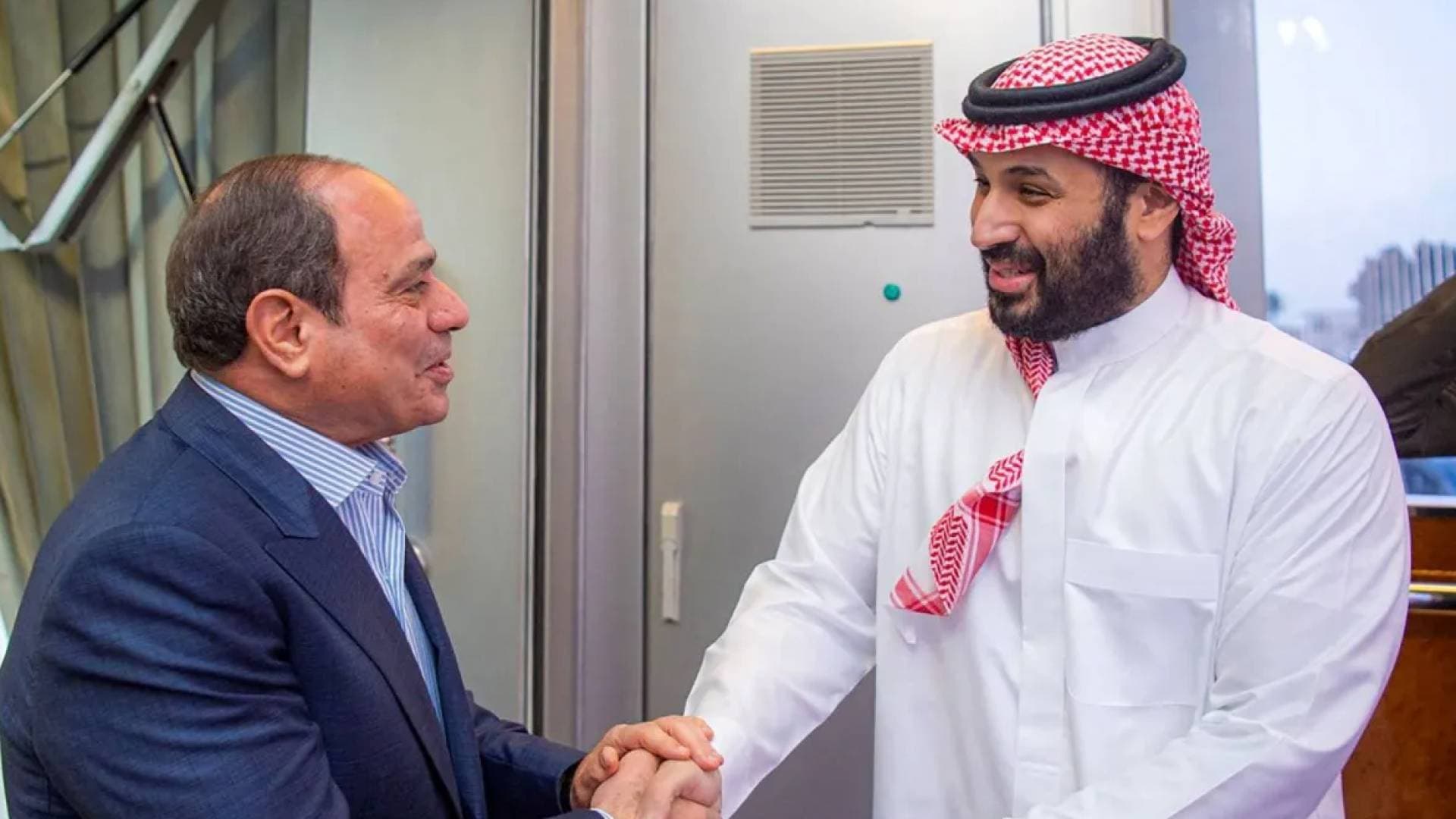 السيسي وبن سلمان يؤكدان على تنفيذ خطة السلام ورفض تهجير الفلسطينيين..فيديو