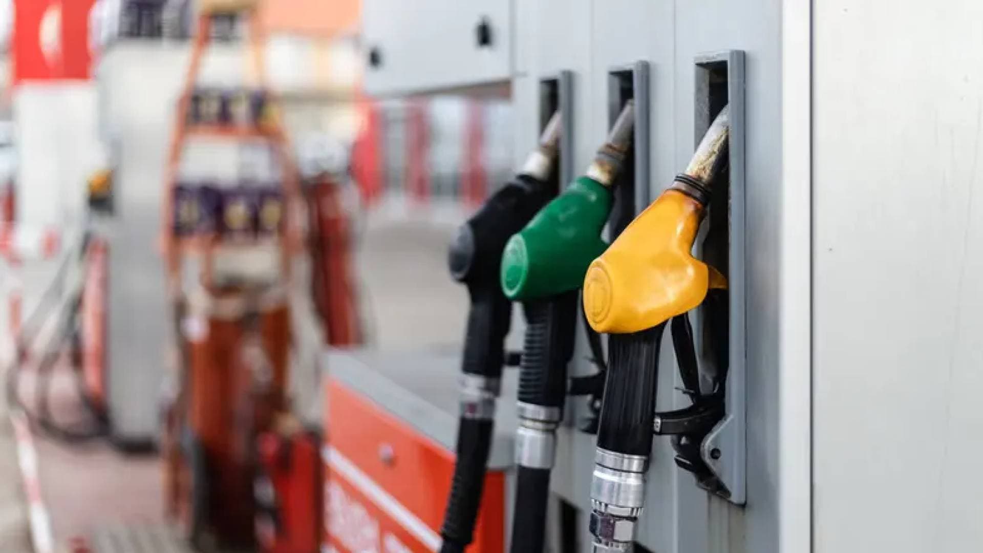 قطاع النقل الألماني يقرع ناقوس الخطر: أزمة تكاليف حادة تهدد الشركات بالإفلاس
