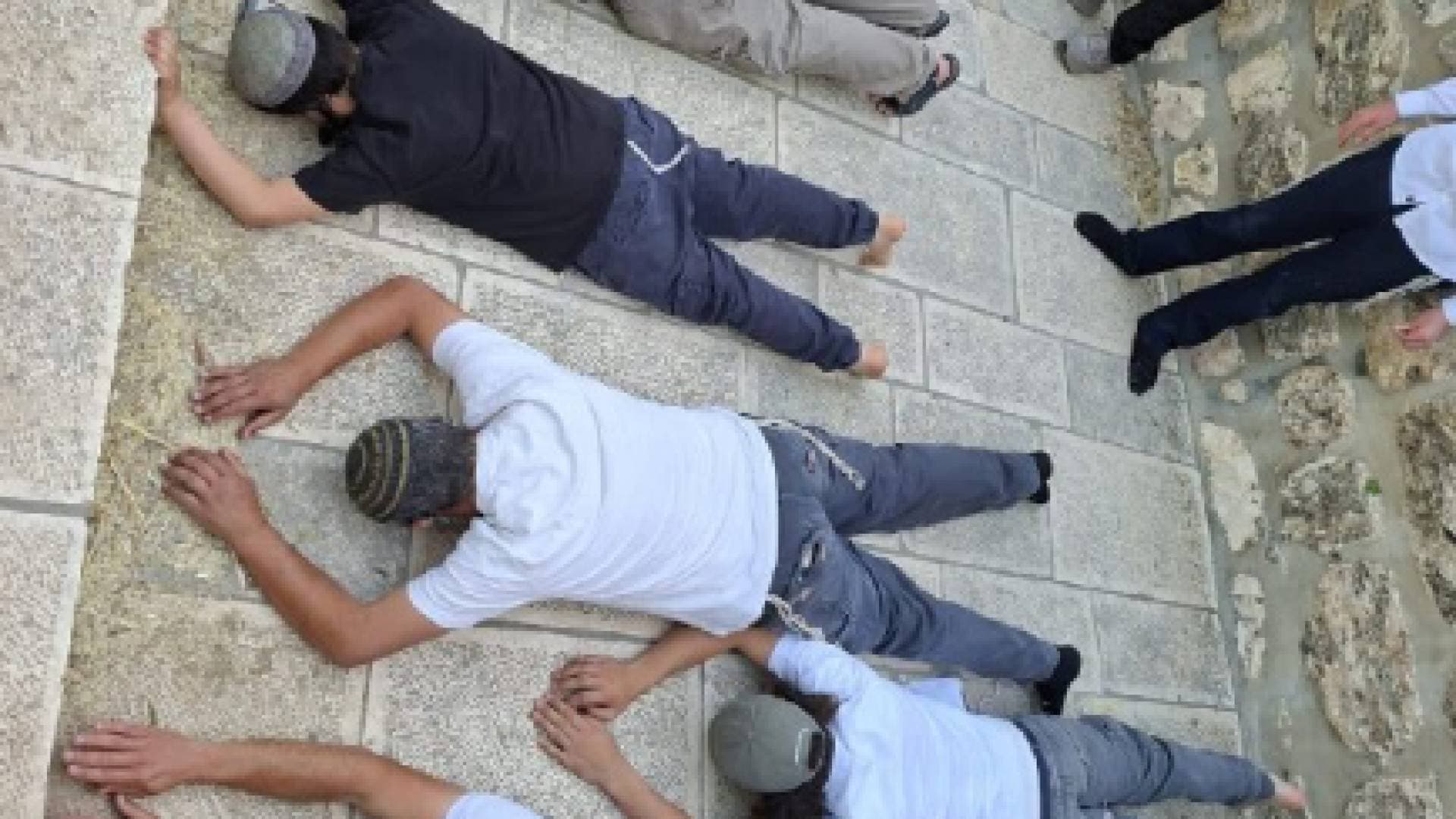 مستوطنون يقتحمون الأقصى ويؤدون "سجودا ملحميا" تزامنا مع مسيرة الأعلام