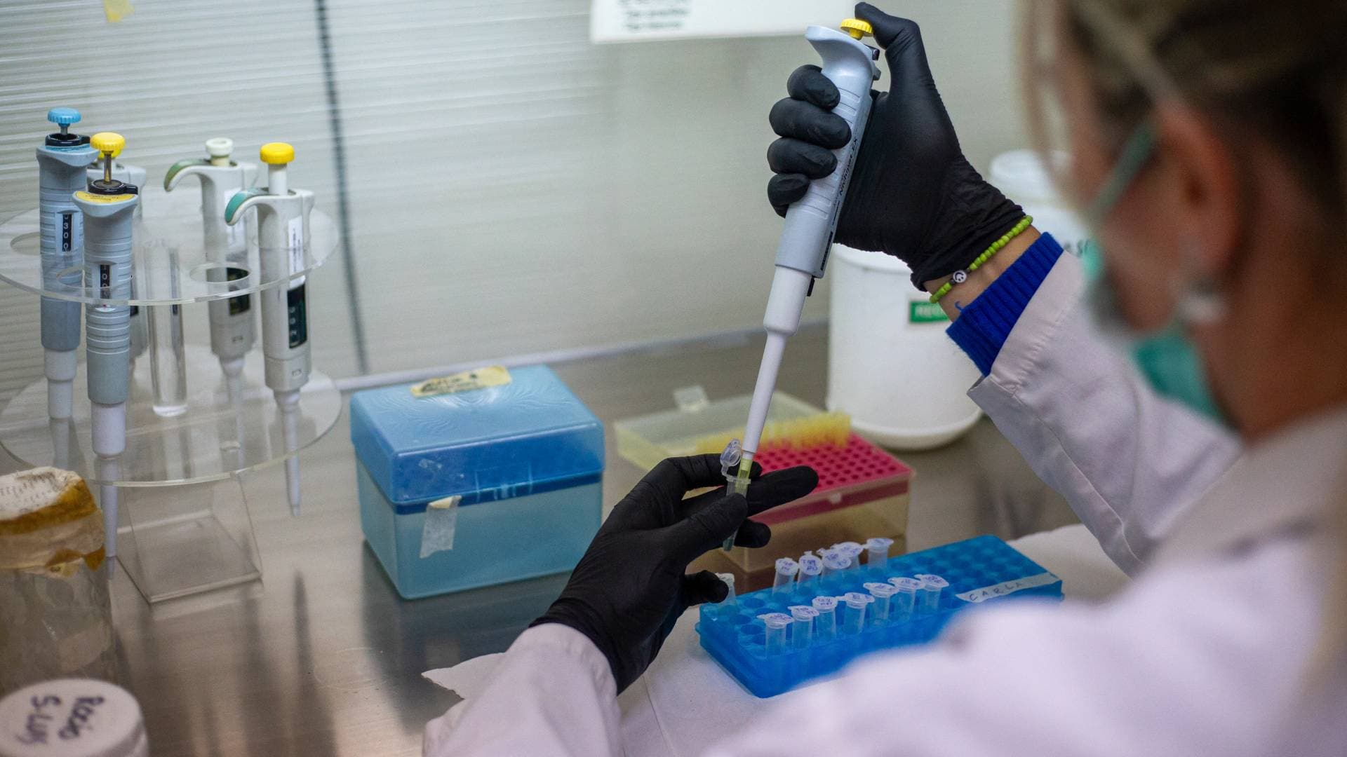 كندا تسجل أول إصابة بفيروس "هانتا النادر" وبريطانيا ترفع درجة الجاهزية لعزل المخالطين