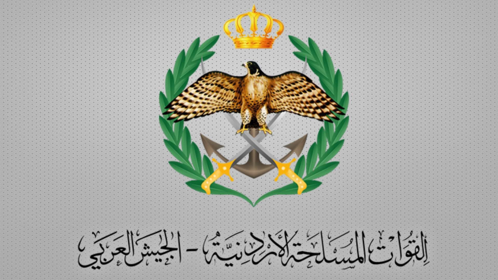 القوات المسلحة الأردنية: إسقاط طائرة مسيرة دخلت الأجواء الأردنية - فيديو