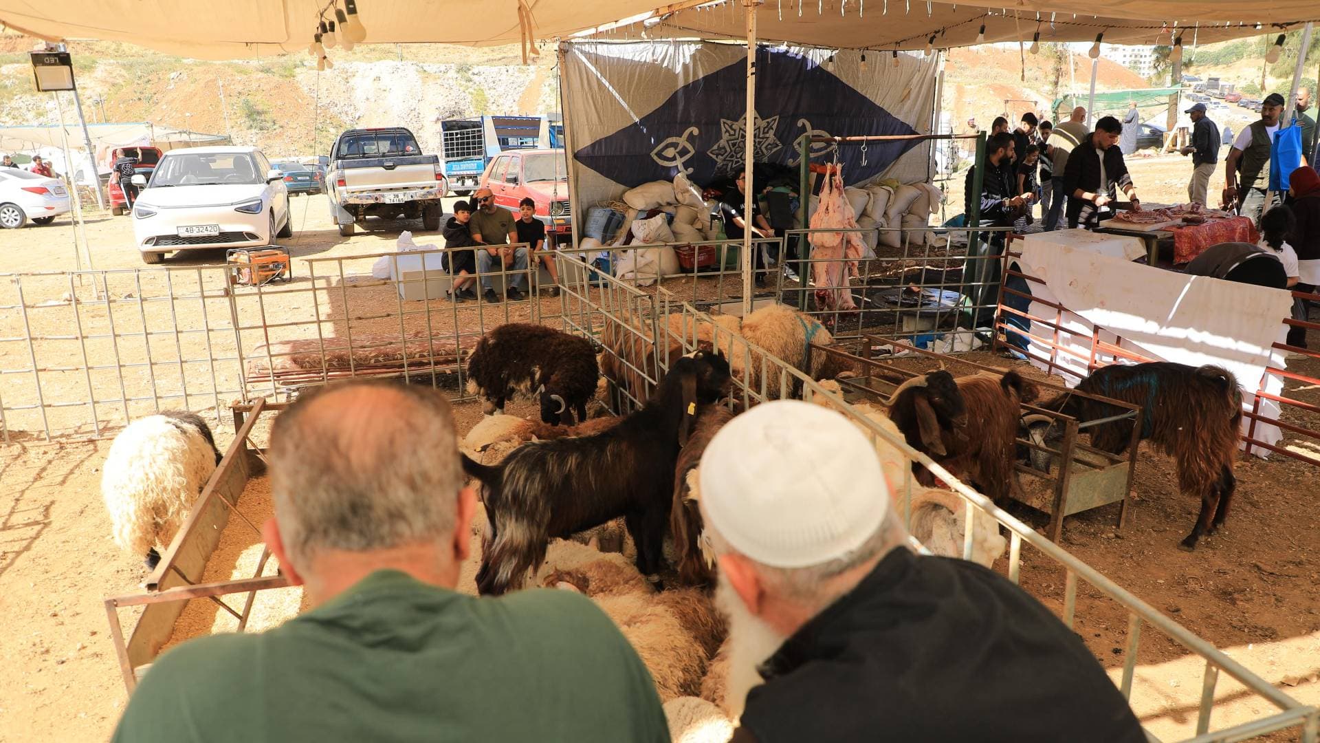 رؤيا ترصد إقبال المواطنين على حظائر الأضاحي في محافظة إربد أول أيام العيد