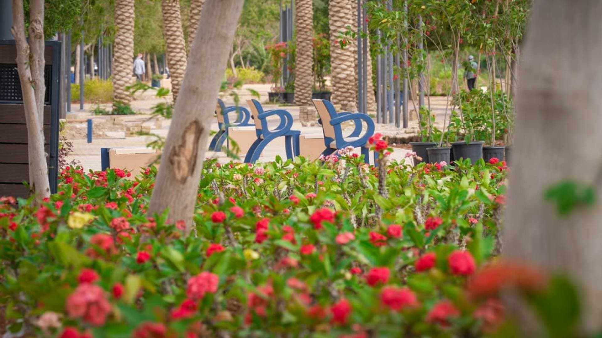 المناطق التنموية: 3500 زائر لشاطئ وكورنيش البحر الميت خلال 3 أيام