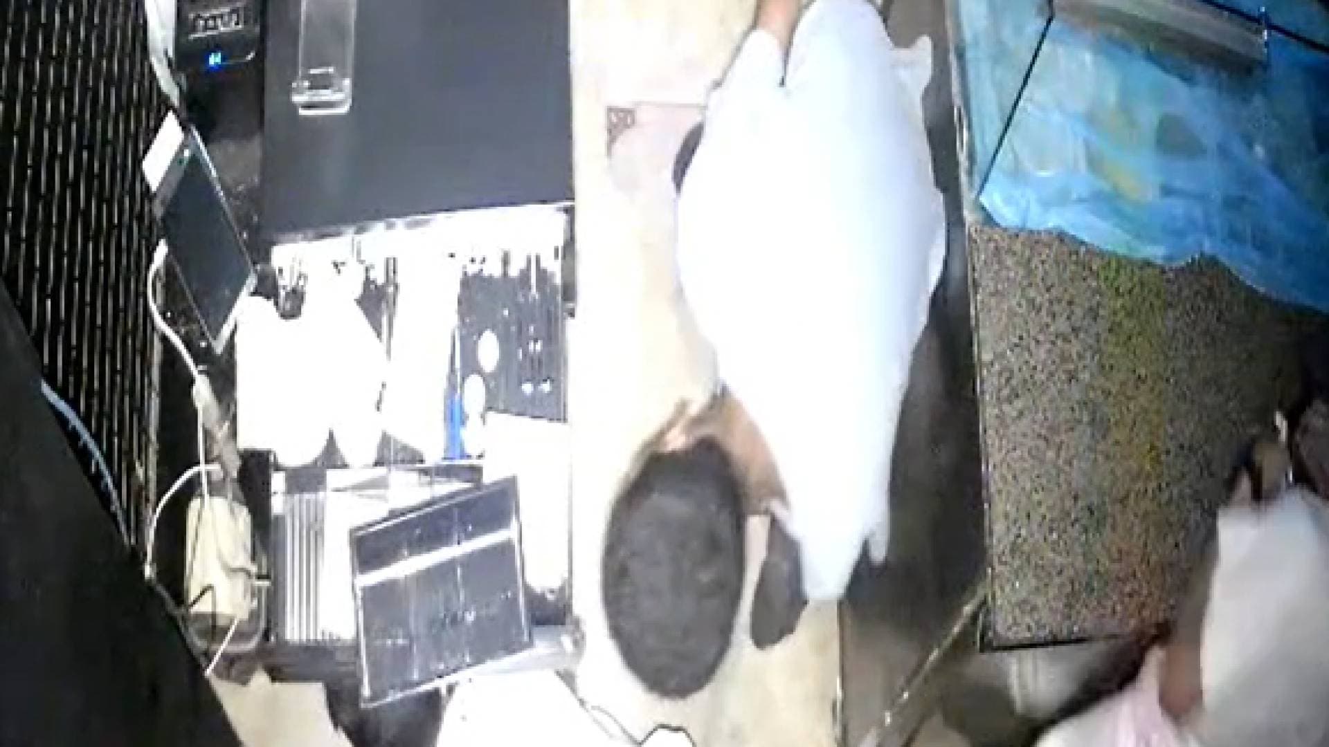 بالفيديو.. كاميرات المراقبة توثق اقتحام وسرقة محل تجاري على يد أحداث فجرا في صويلح بالعاصمة عمان