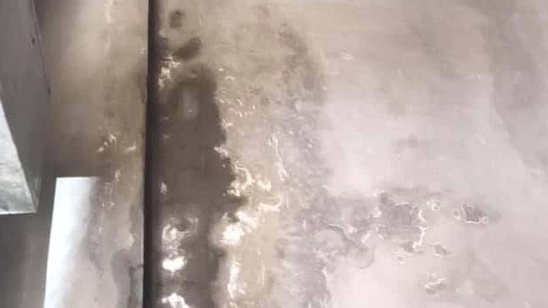 "من هنا نبدأ": مجمع وادي موسى السياحي مؤجر منذ 5 سنوات دون استلام رسمي من المقاول -فيديو