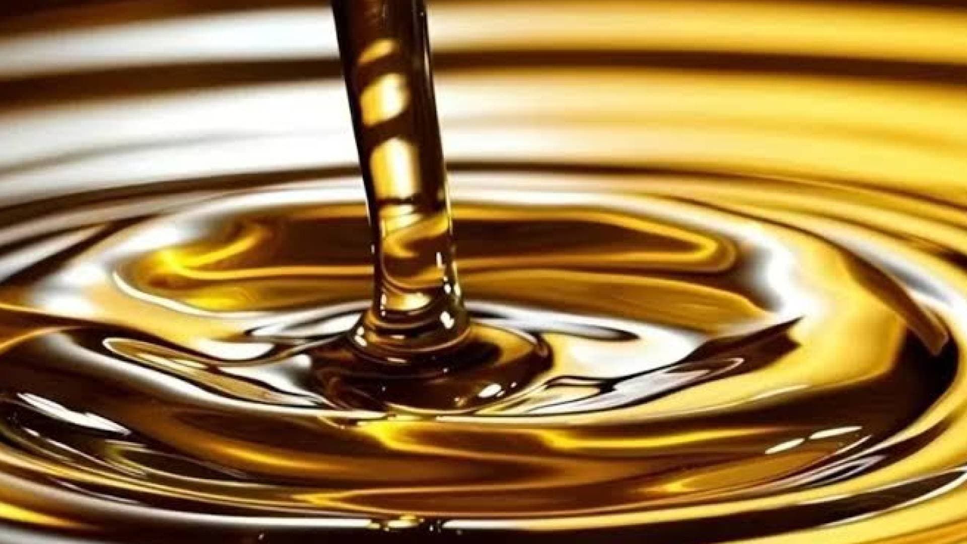 المواصفات والمقاييس تضبط 1212 عبوة زيوت محركات مخالفة وتحول المخالفين للقضاء - صور