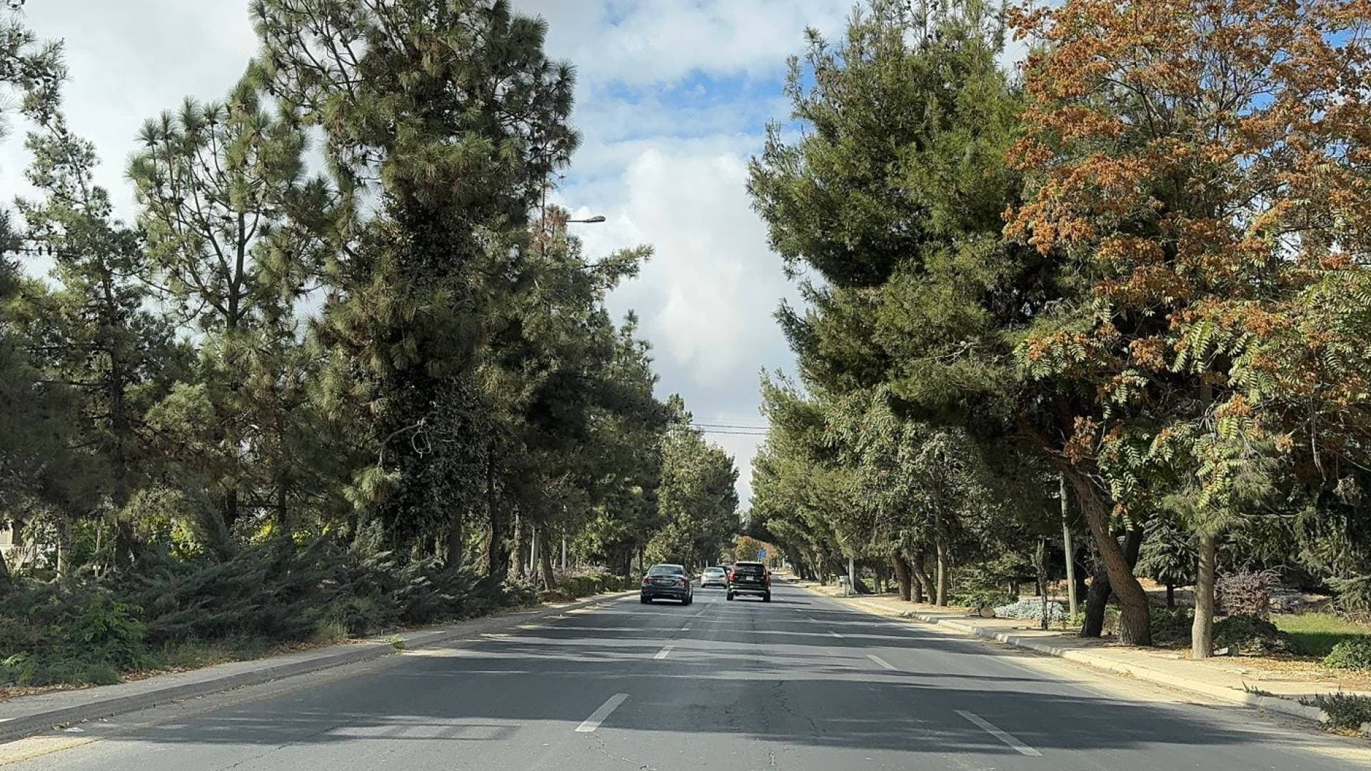 الأرصاد: أجواء لطيفة ليلا في أغلب المناطق والصغرى تستقر عند 18 درجة مئوية
