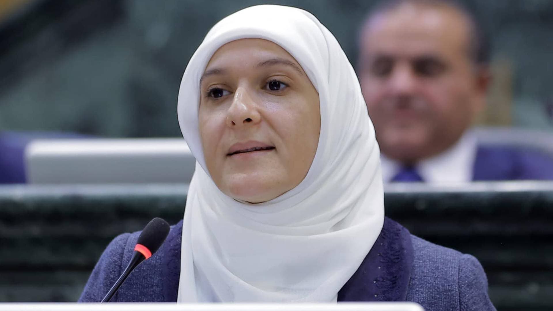 نمور تطالب برد مشروع قانون الإدارة المحلية رفضا لحرمان العقبة من حقها الديمقراطي في انتخاب ممثليها