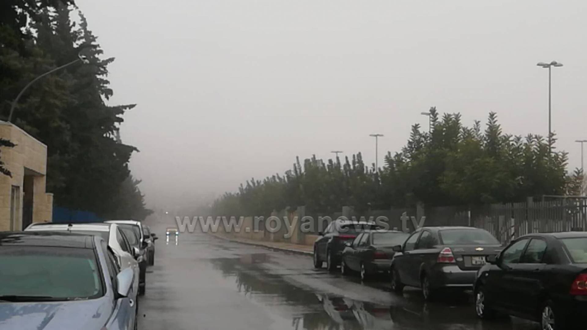 وسط تساقط الأمطار.. تحذيرات من الضباب الكثيف في عمان.. فيديو وصور