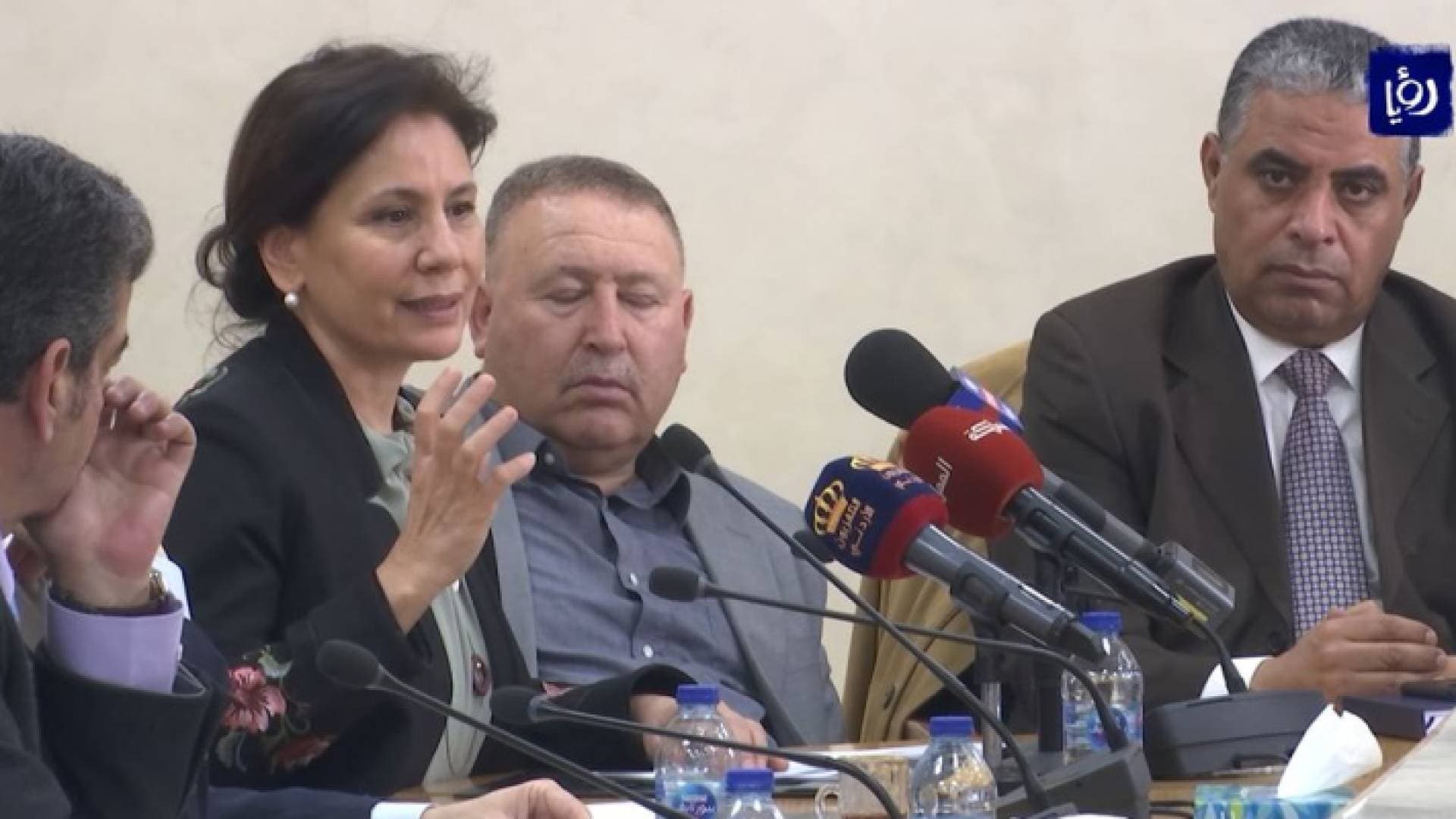 وزيرة الطاقة تعزو أسباب زيادة فواتير الكهرباء إلى استخدام التدفئة الكهربائية.. فيديو