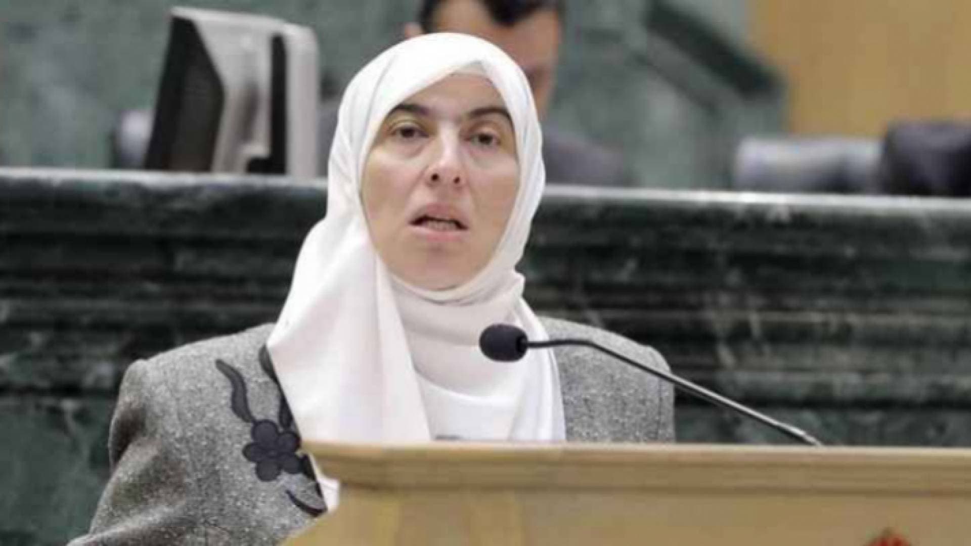 النائب ديمة طهبوب: نطالب الحكومة بوقف الورشة التطبيعية.. فيديو