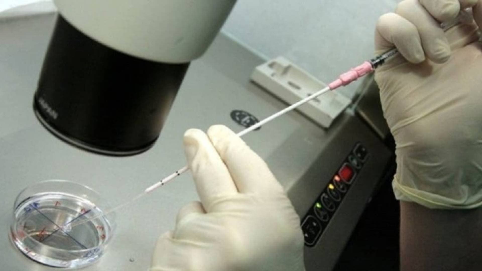 أمريكا تعلن تطوير لقاح لفيروس كورونا.. تفاصيل