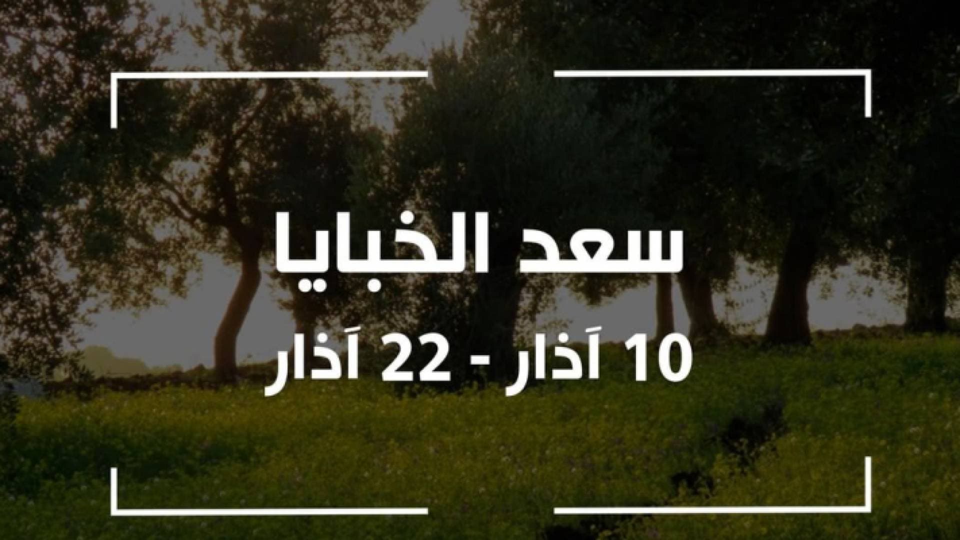 هذه قصة "سعد الخبايا" الجزء الأخير من فصل الشتاء