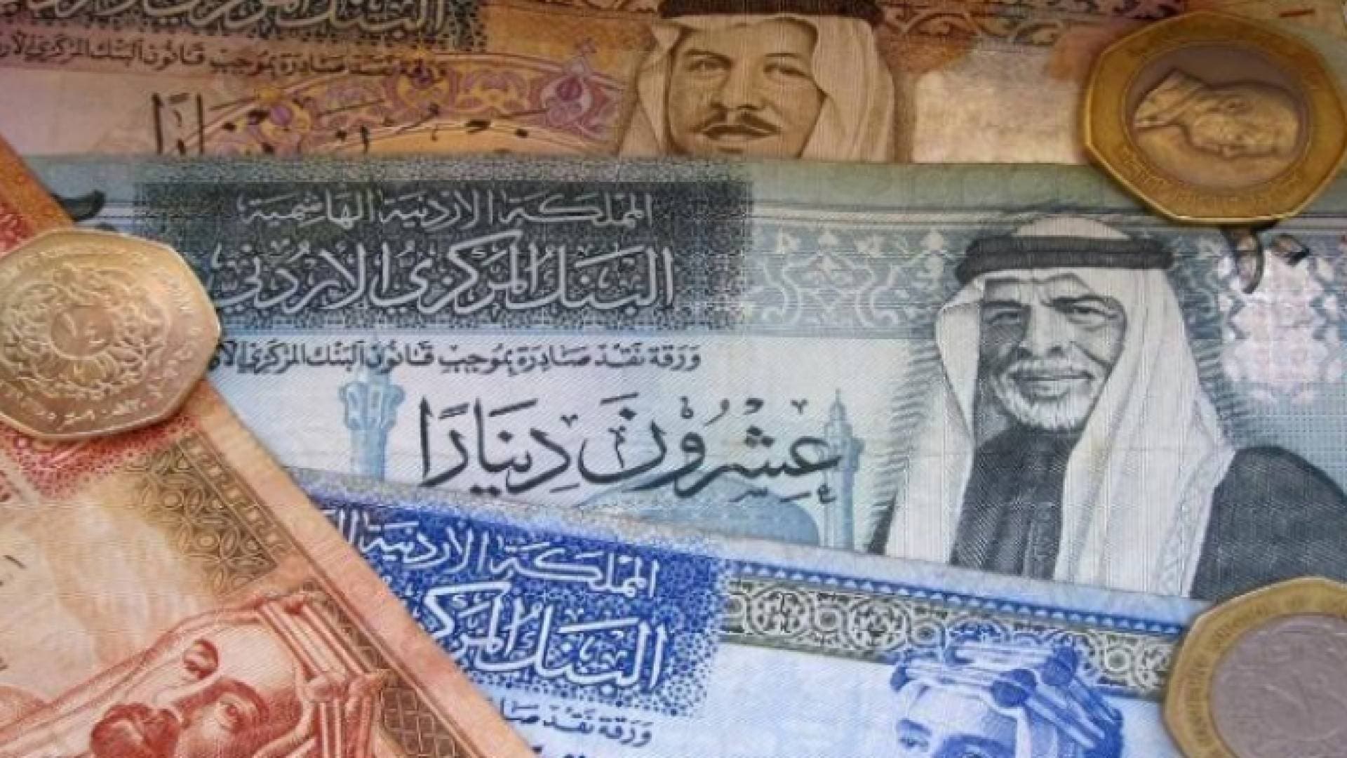 العناني: 30 مليون دينارا خسارة الاقتصاد الوطني يوميا بسبب كورونا - فيديو