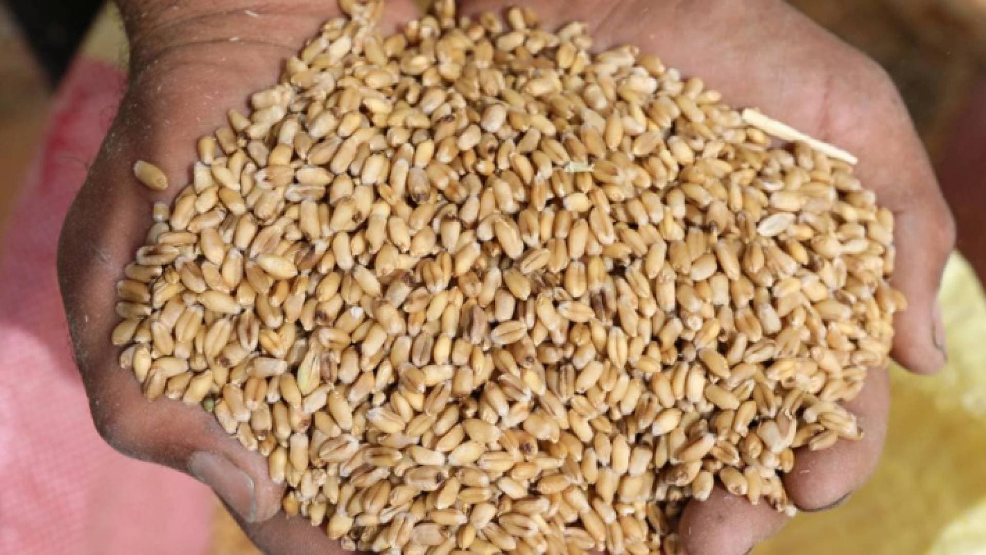 باخرتا "قمح" تصلان العقبة خلال اليومين المقبلين