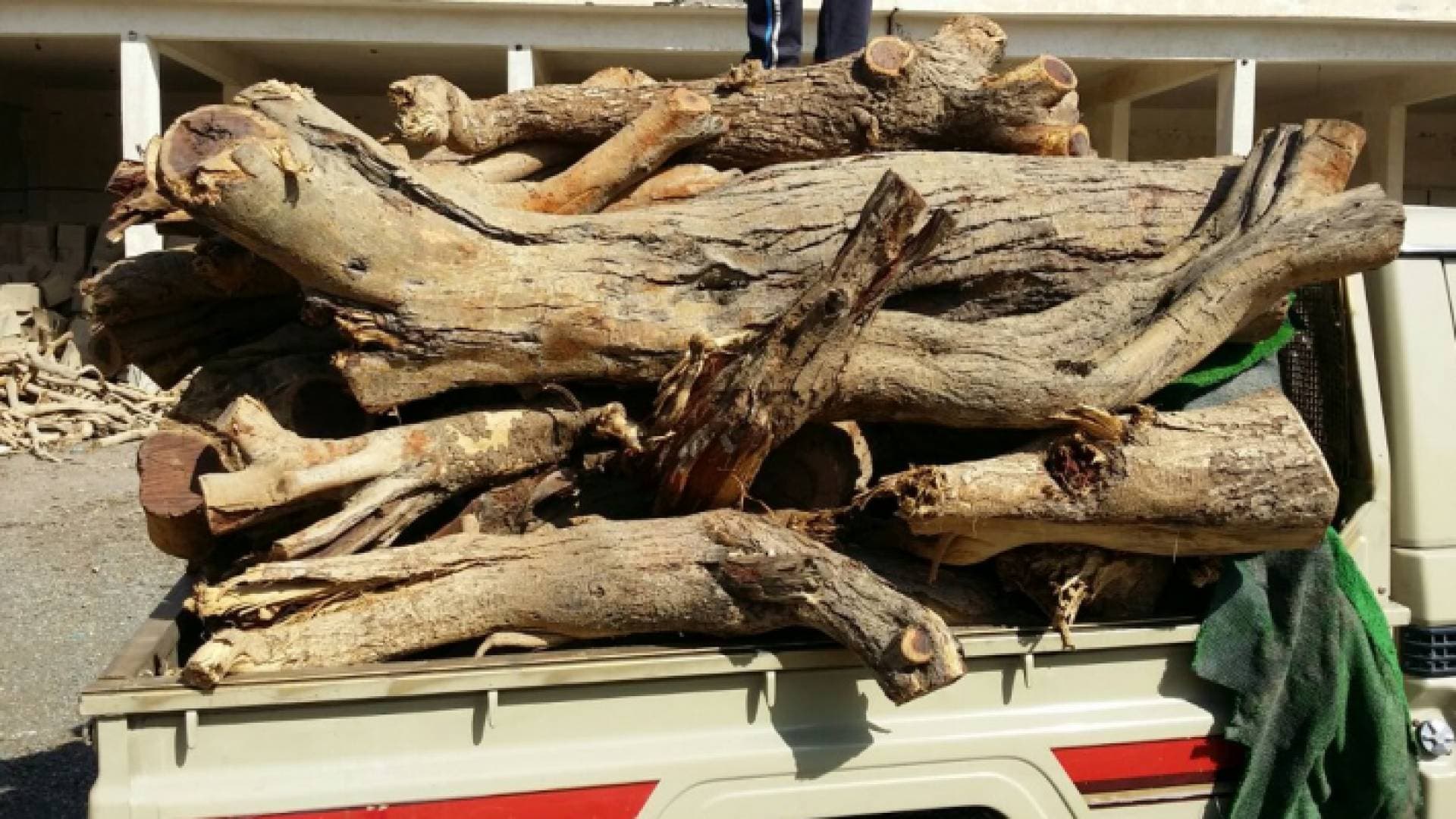 ضبط مركبة محملة بثلاثة أطنان من الحطب بلواء الكورة
