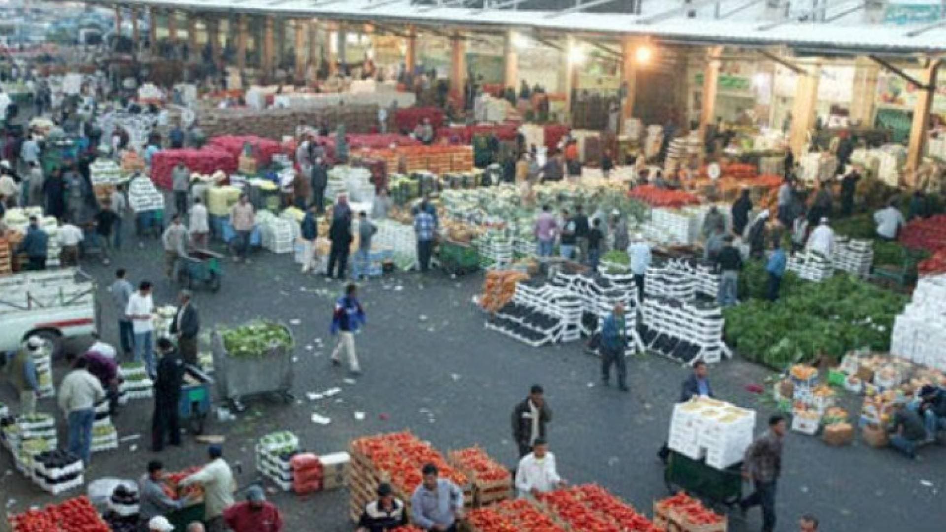ضبط ١٢٠ عاملا وافدا يعملون بمهنة نقل الخضار بالعربات الصغيرة