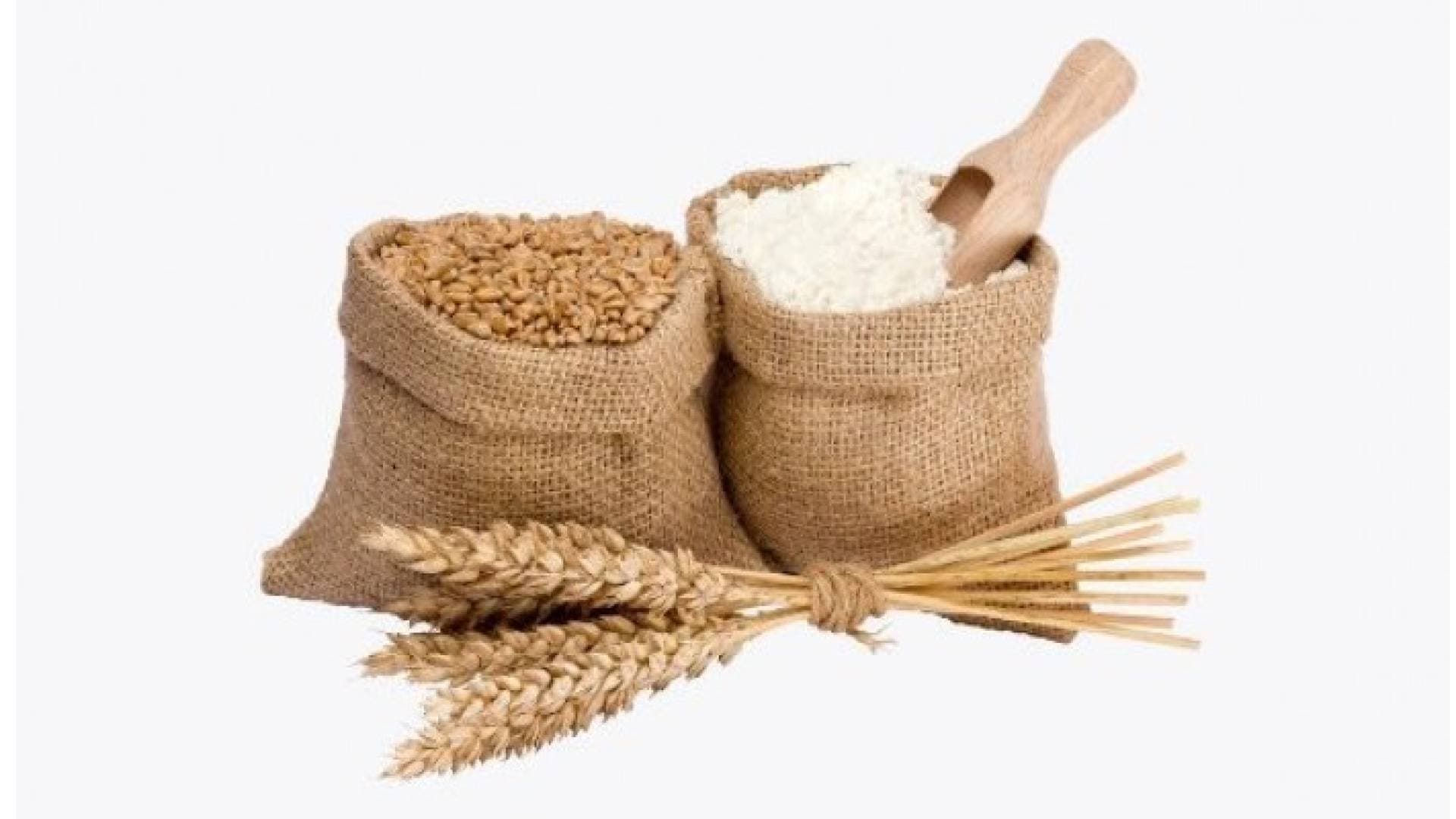 الافتاء تحث على اخراج زكاة الفطر قبل يوم العيد