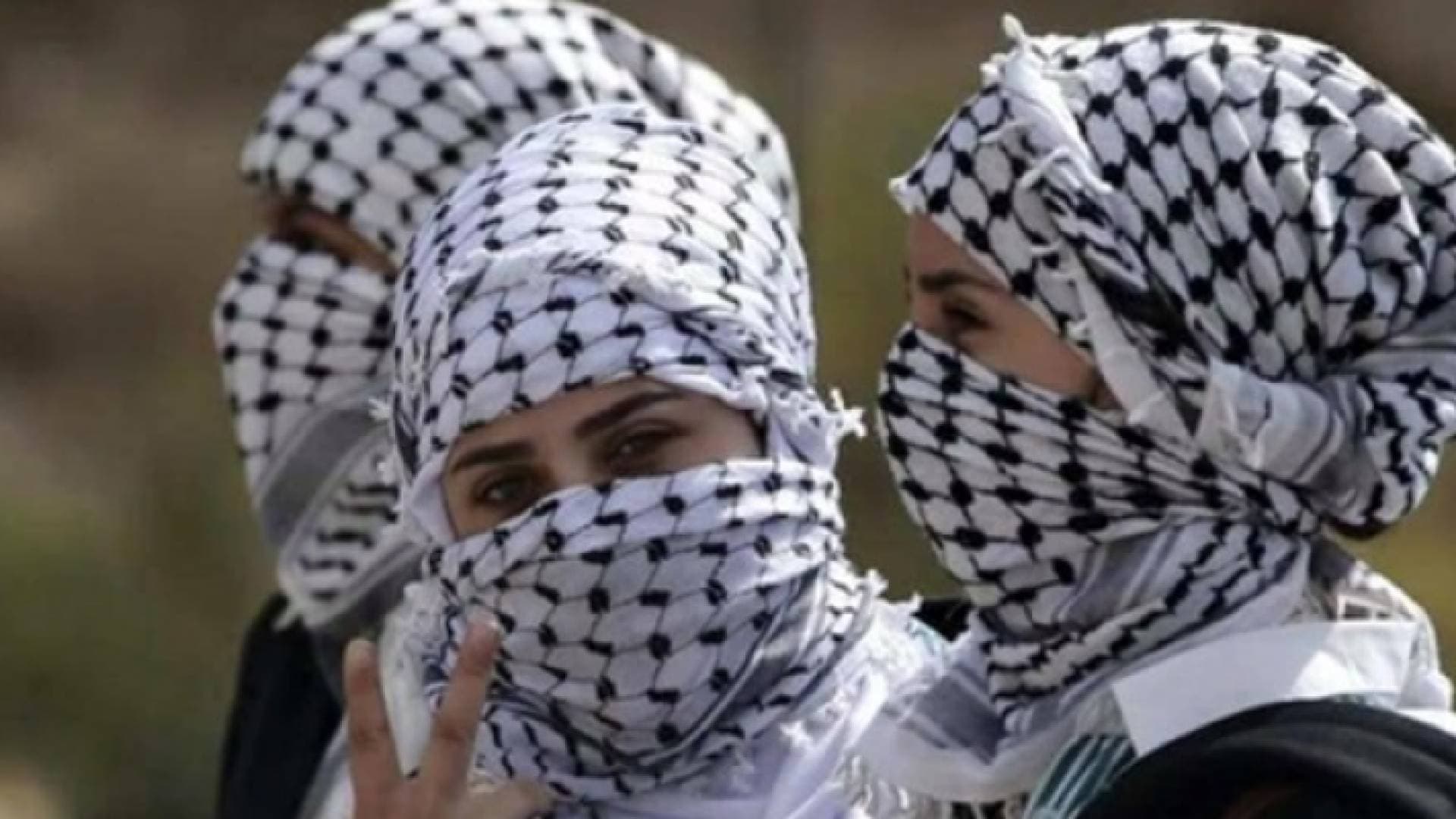 "غوغل" يربط الكوفية الفلسطينية بالإرهاب ويثير الغضب.. فيديو