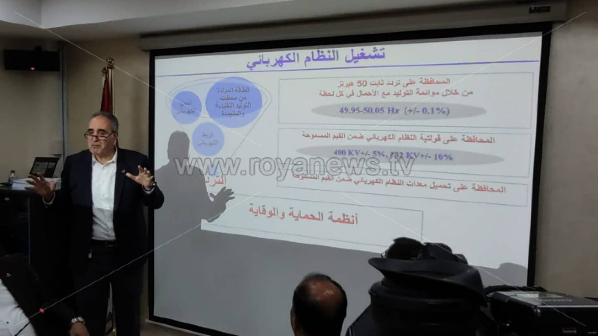 الرواشدة: "طير كبير" قد يكون من بين أسباب تذبذب تيار الكهرباء من مصر - فيديو