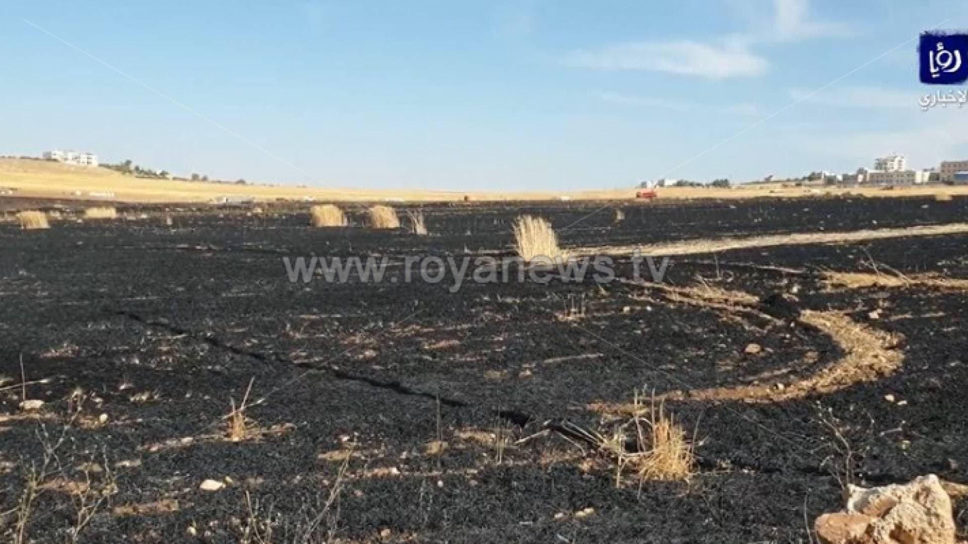 إخماد حريق التهم مساحات واسعة مزروعة بالقمح جنوب مدينة إربد - فيديو
