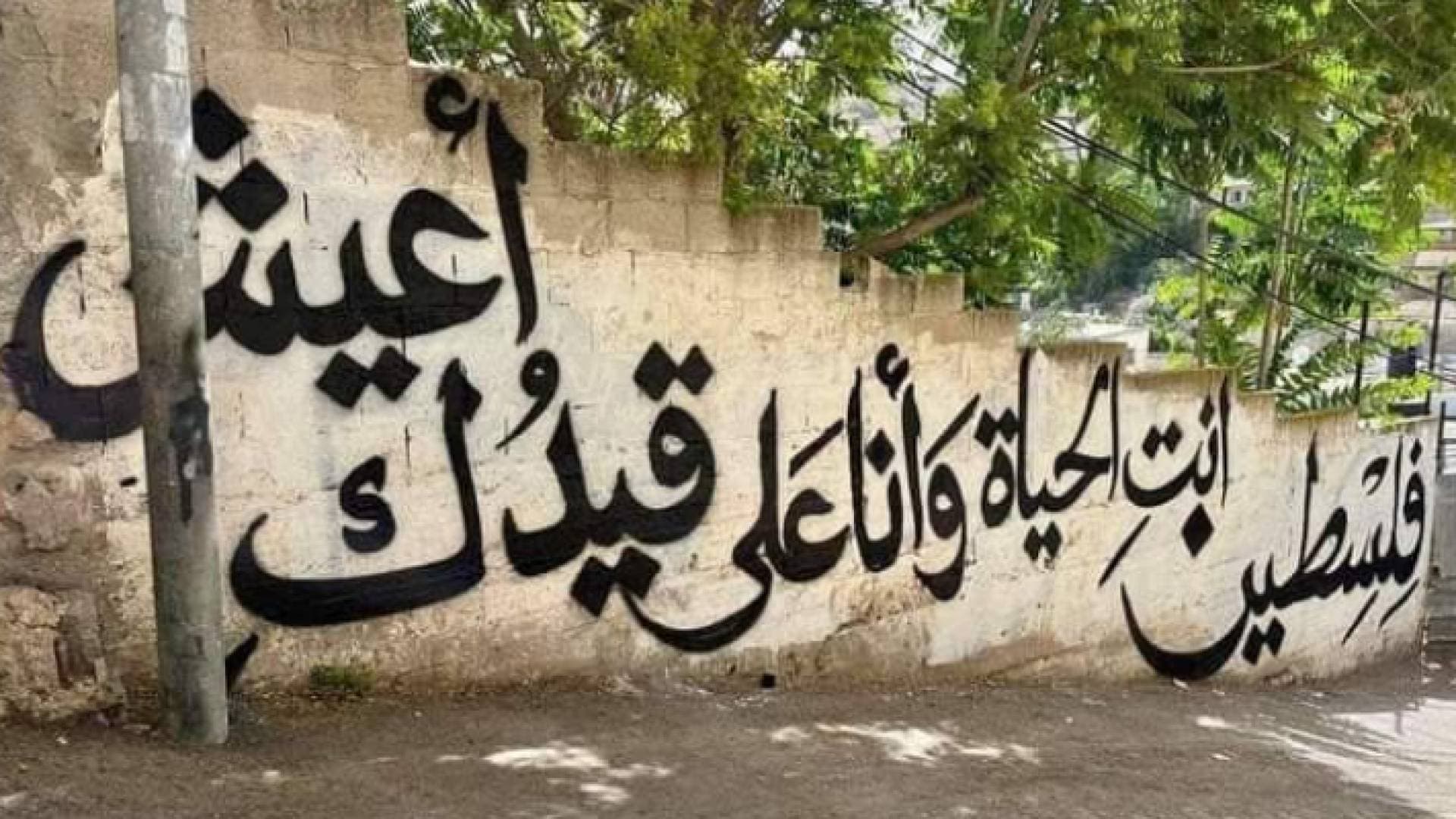 رسومات الفلسطينيين على جدران حي بطن الهوى في القدس تقهر الاحتلال الإسرائيلي "فيديو"