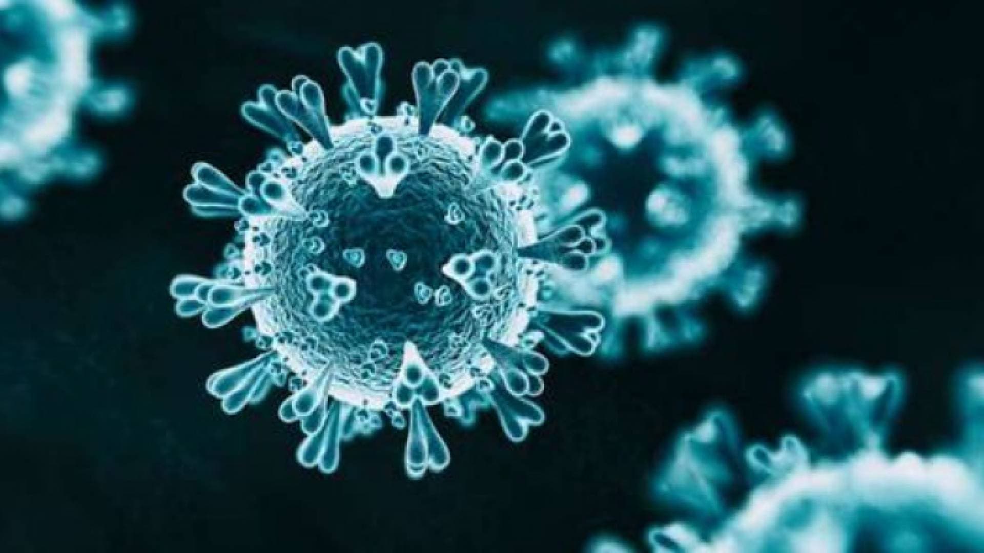 مسؤولون في فيتنام يحذرون من سلالة جديدة مكتشفة وأشد شراسة من كورونا