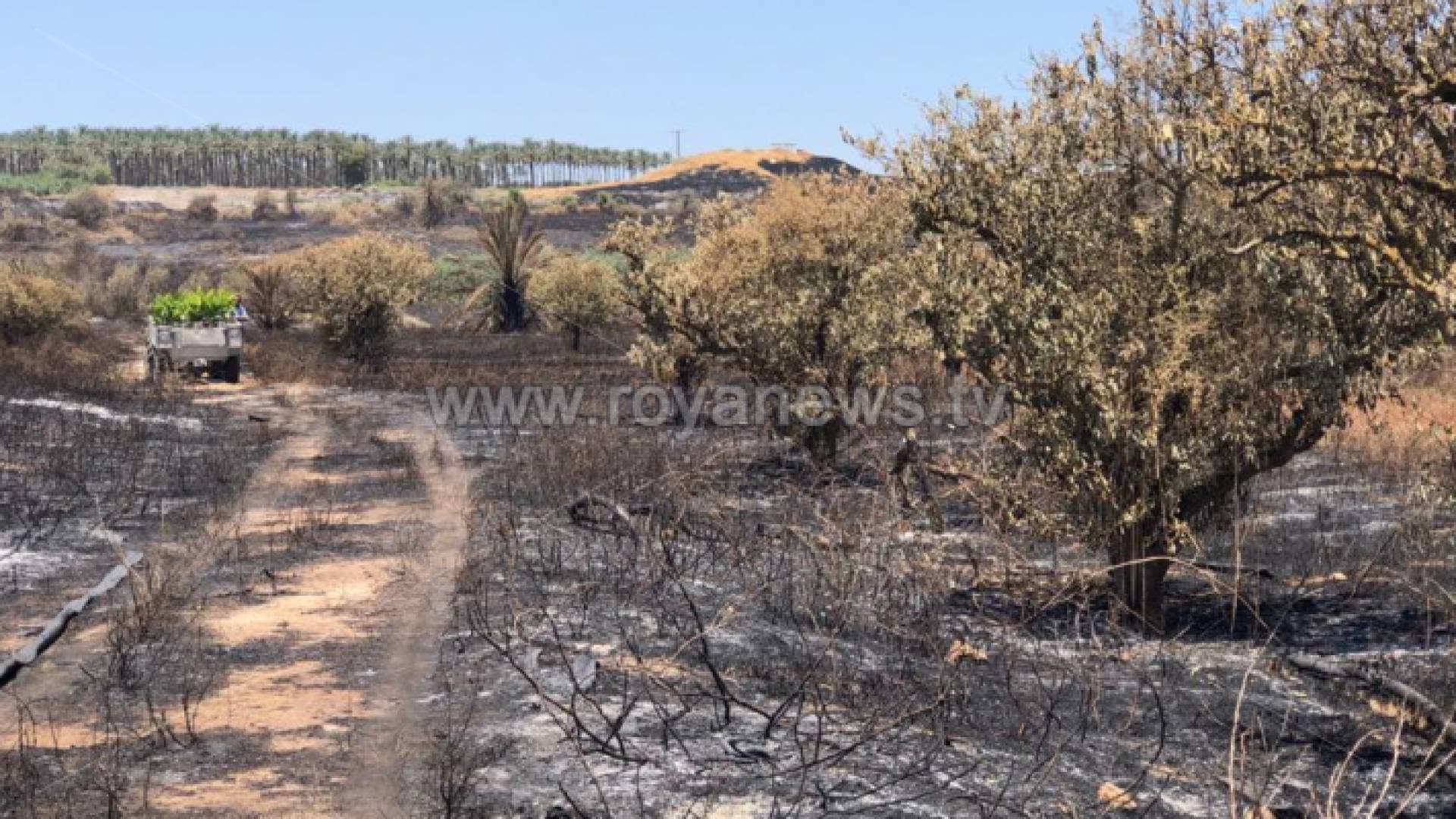 زعيتر تطالب الحكومة بمحاسبة الاحتلال الاسرائيلي على الحرائق المفتعلة في الاغوار - فيديو