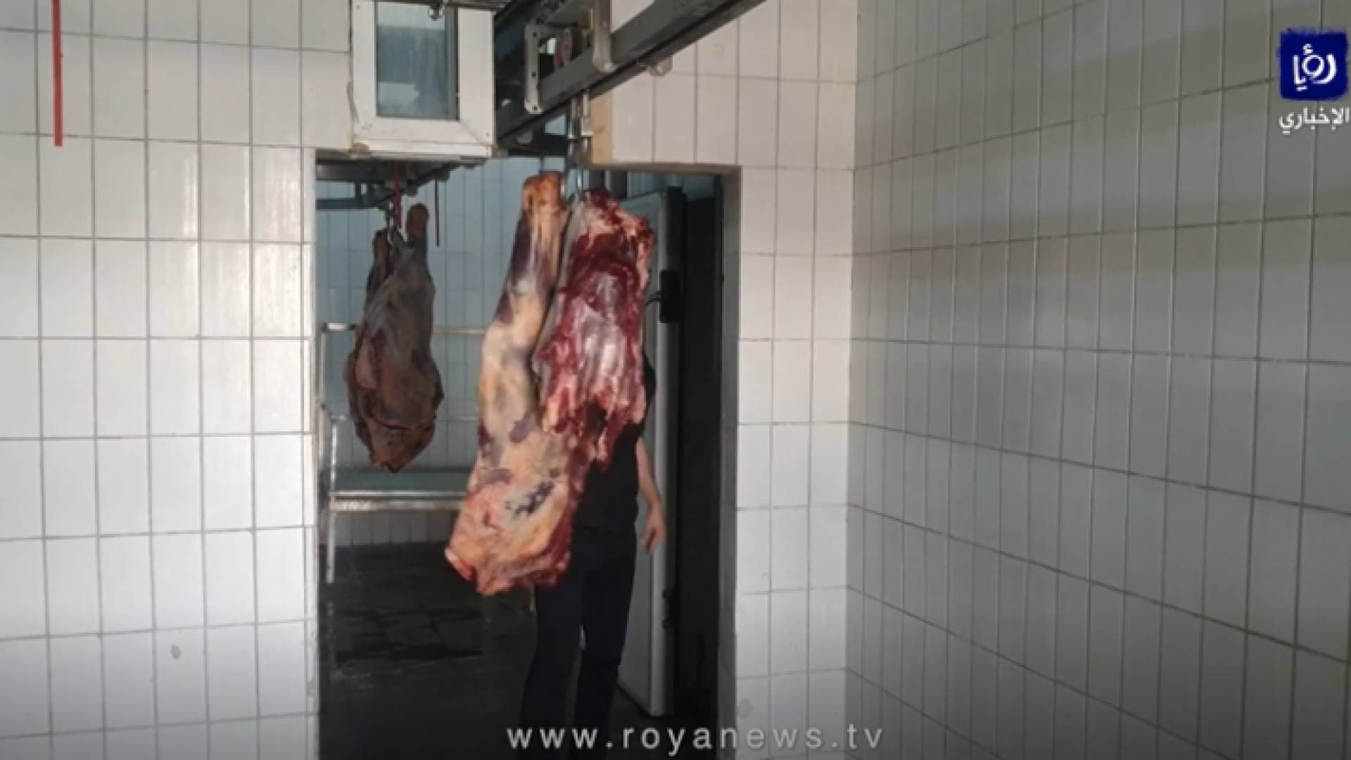 اتلاف ٣٥٠ كيلو لحوم بقرية في مسلخ بلدية اربد - فيديو
