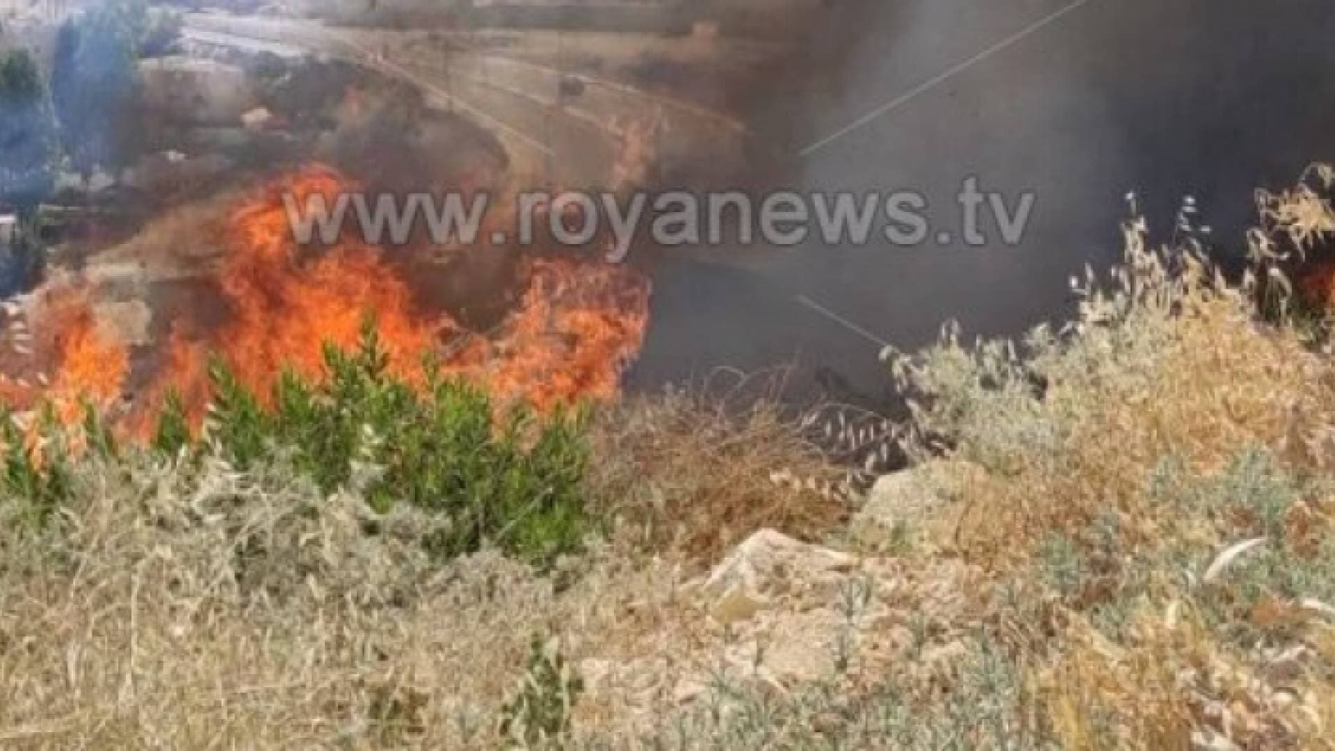 اخماد حريق اعشاب بمحيط خزان زبدا في اربد