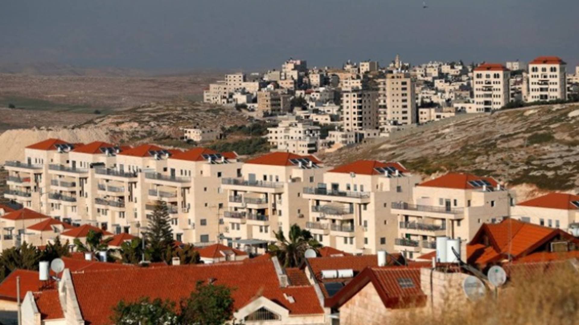 حكومة "بينت" تصادق على بناء ٣١ وحدة إستيطانية في الضفة الغربية