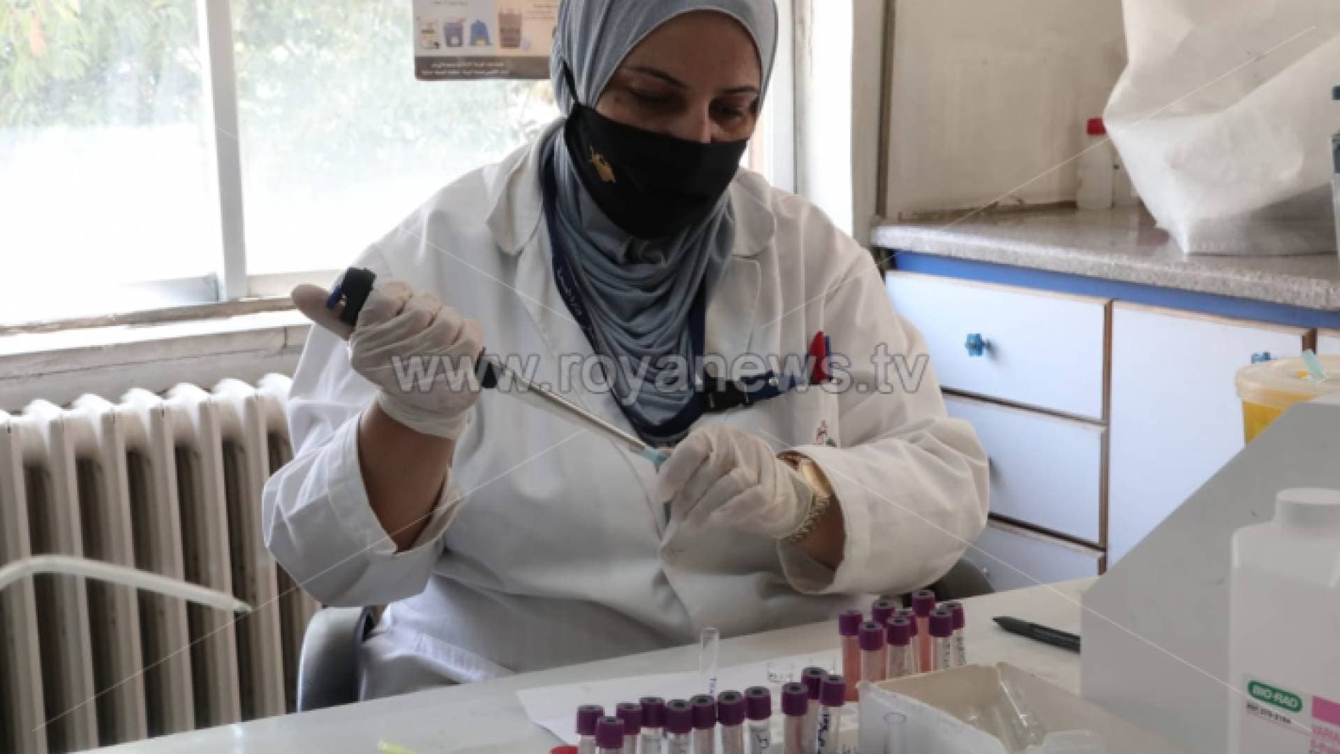 دراسة تحسم جدل فاعلية الأجسام المضادة ضد متغيرات كورونا