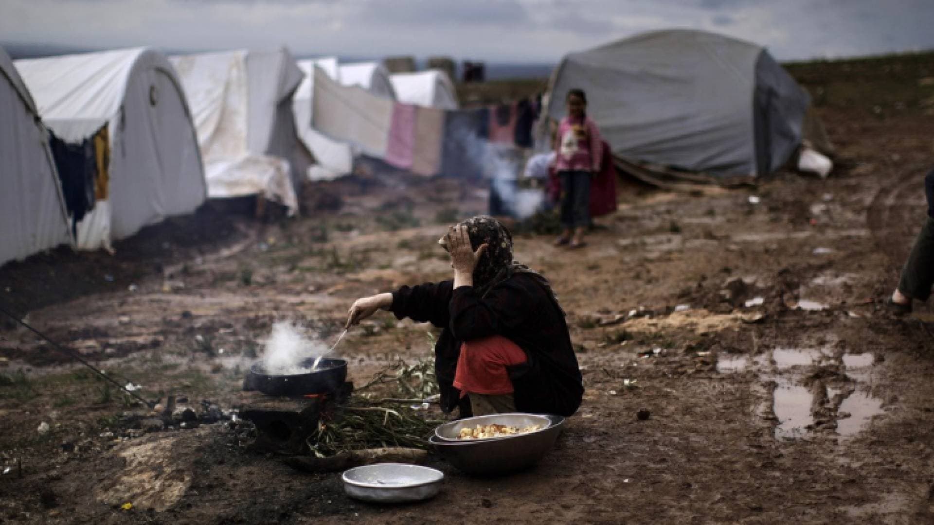 "الأغذية العالمي": أكثر من ١٢ مليون لاجئ سوري يعانون انعدام الأمن الغذائي