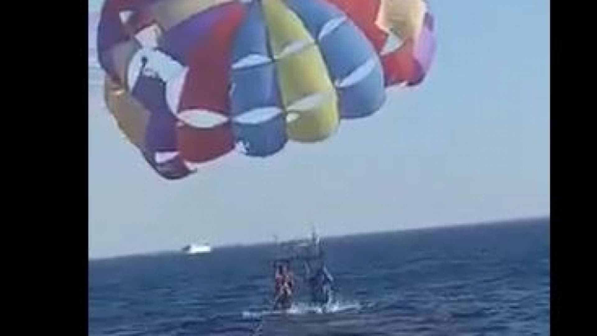 ما حقيقة تعرض شخص لهجوم سمك القرش في العقبة - فيديو