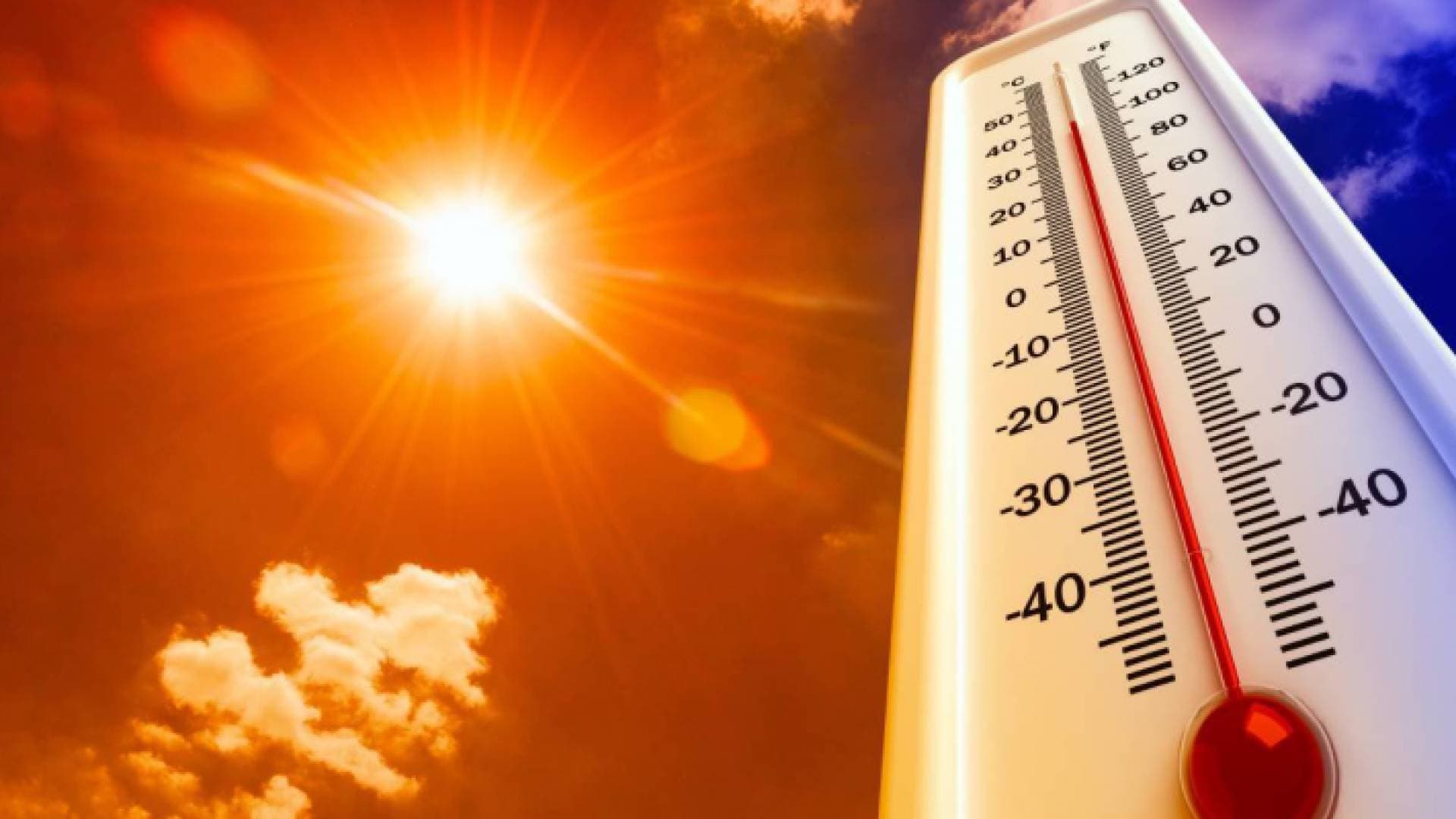 ٧ مدن عربية تسجل أعلى درجات حرارة في العالم.. تفاصيل