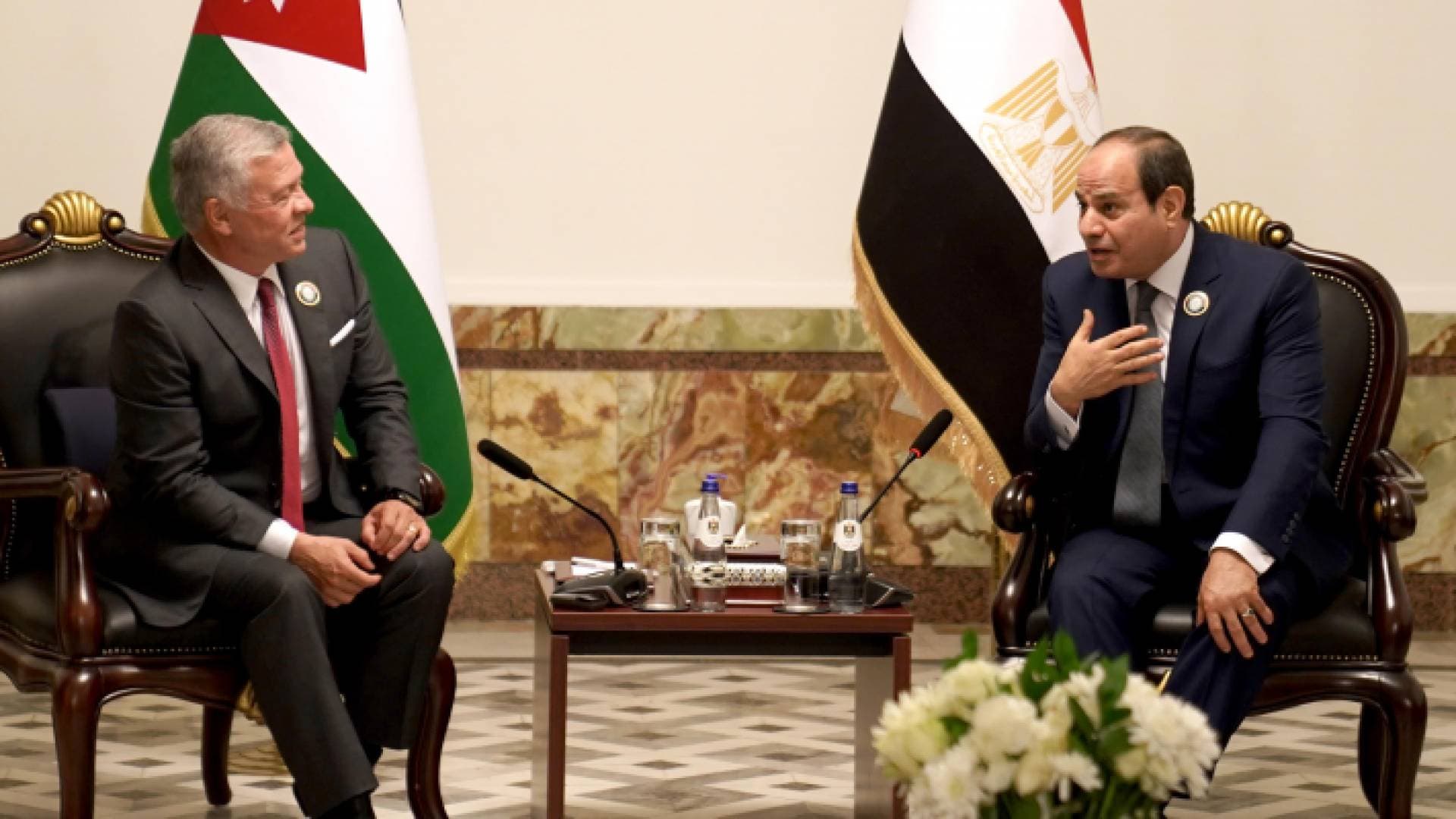 الملك والسيسي يؤكدان أهمية ترجمة وقف إطلاق النار في غزة إلى هدنة ممتدة