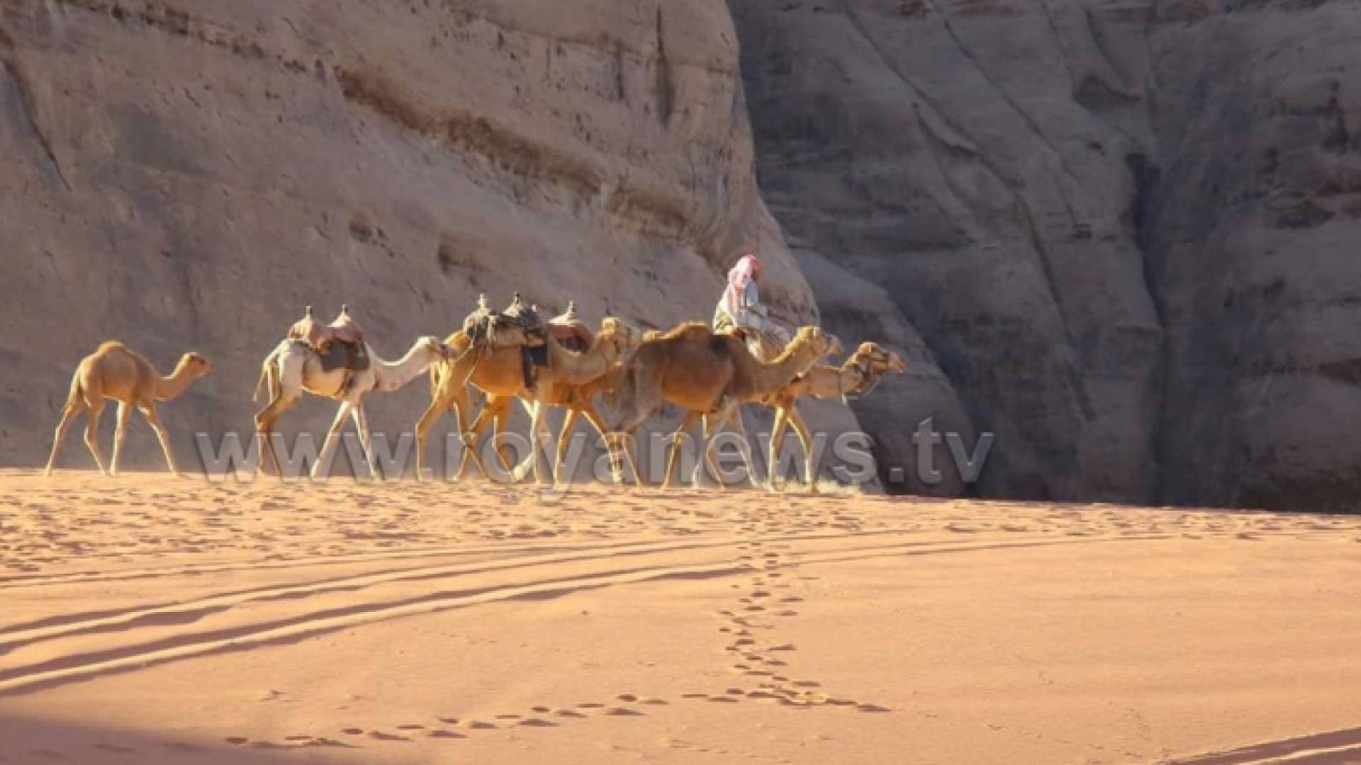 ارتفاعات متتالية على درجات الحرارة في الأردن.. تفاصيل وتوصيات هامة - فيديو