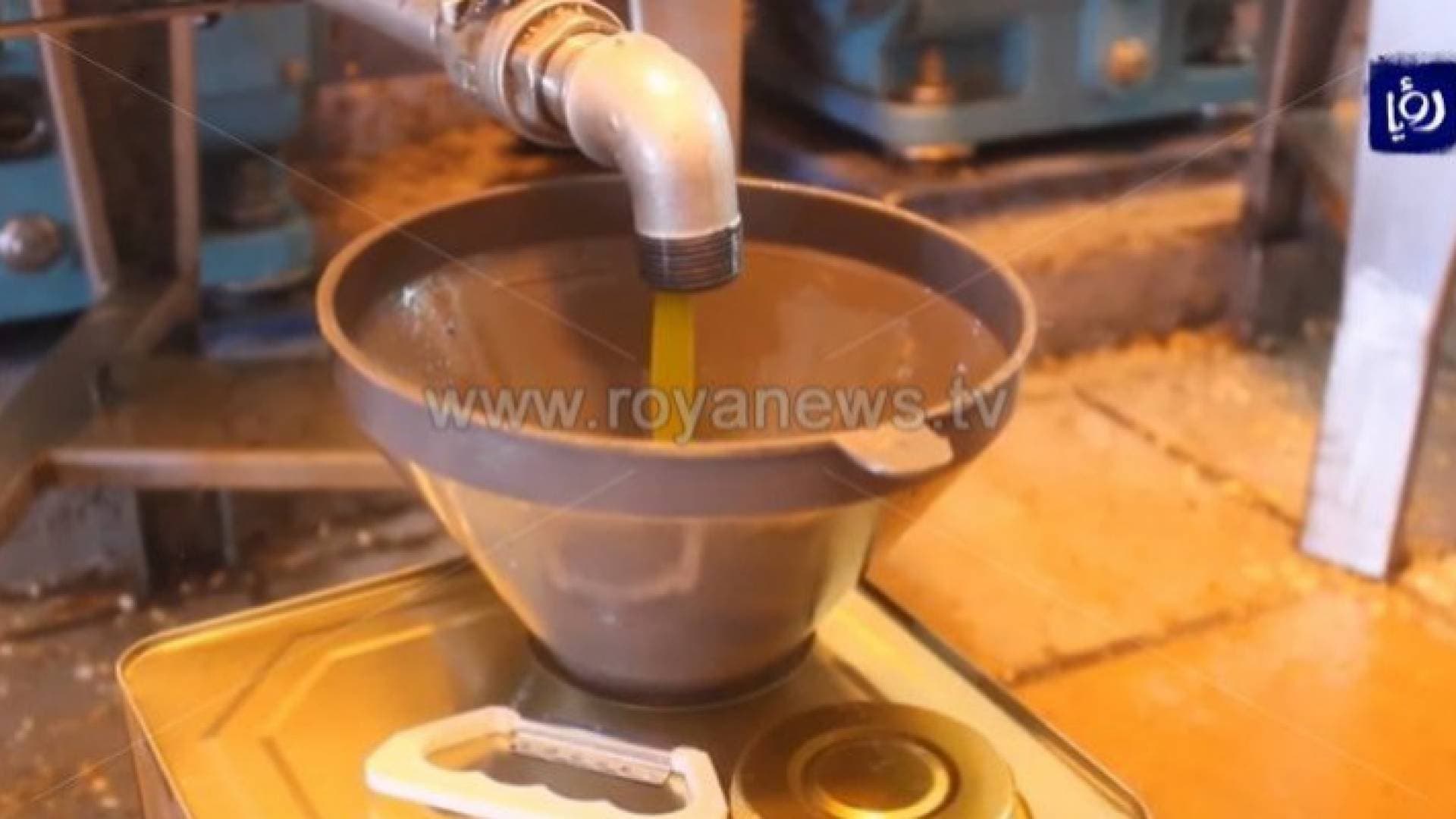 انخفاض ملموس بحالات غش زيت الزيتون في الأردن