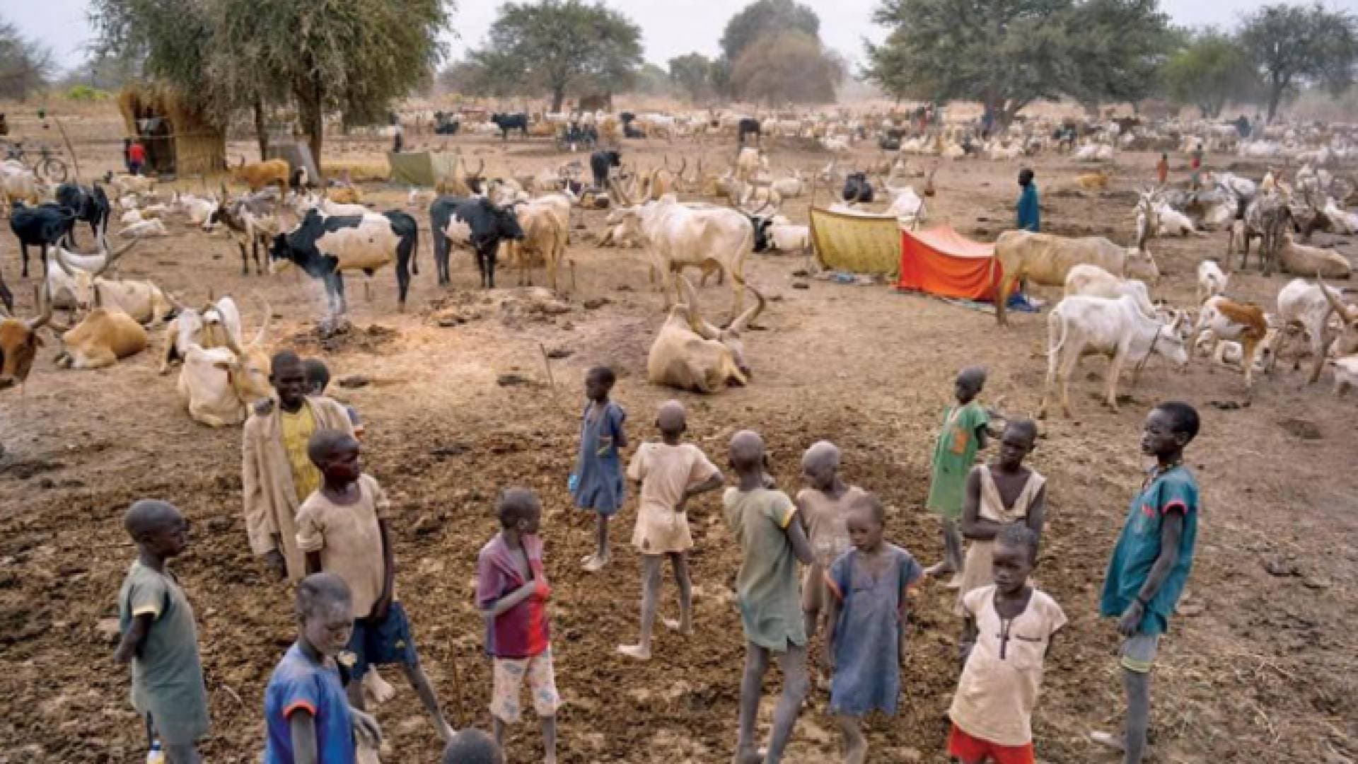 جنوب السودان .. الحرب والجوع يطاردان أحدث دول العالم
